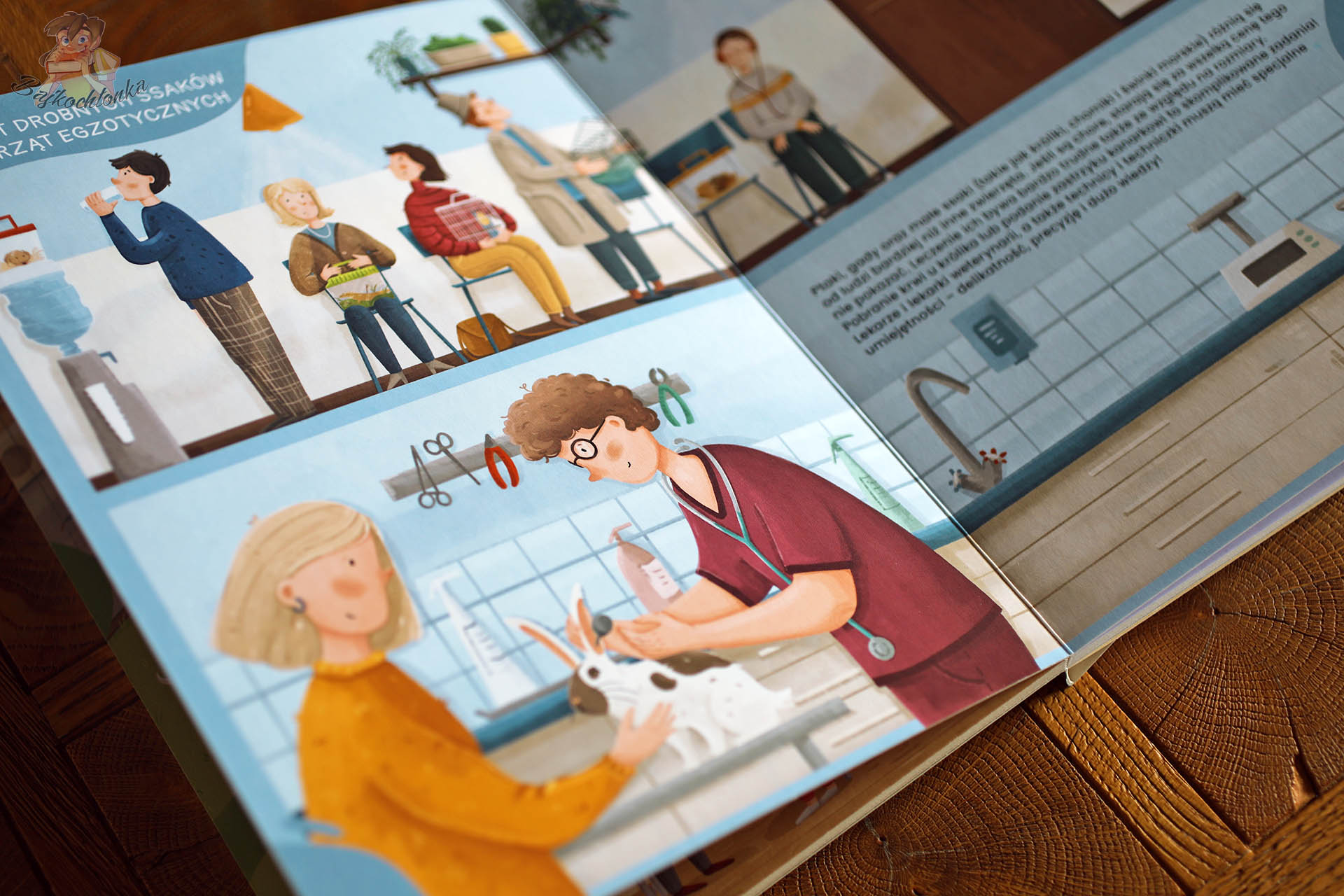 Rozkładówka książki „Ciekawe co robią weterynarze i weterynarki” wydawnictwa Nasza Księgarnia – weterynarz bada królika w gabinecie, w tle poczekalnia z opiekunami zwierząt.