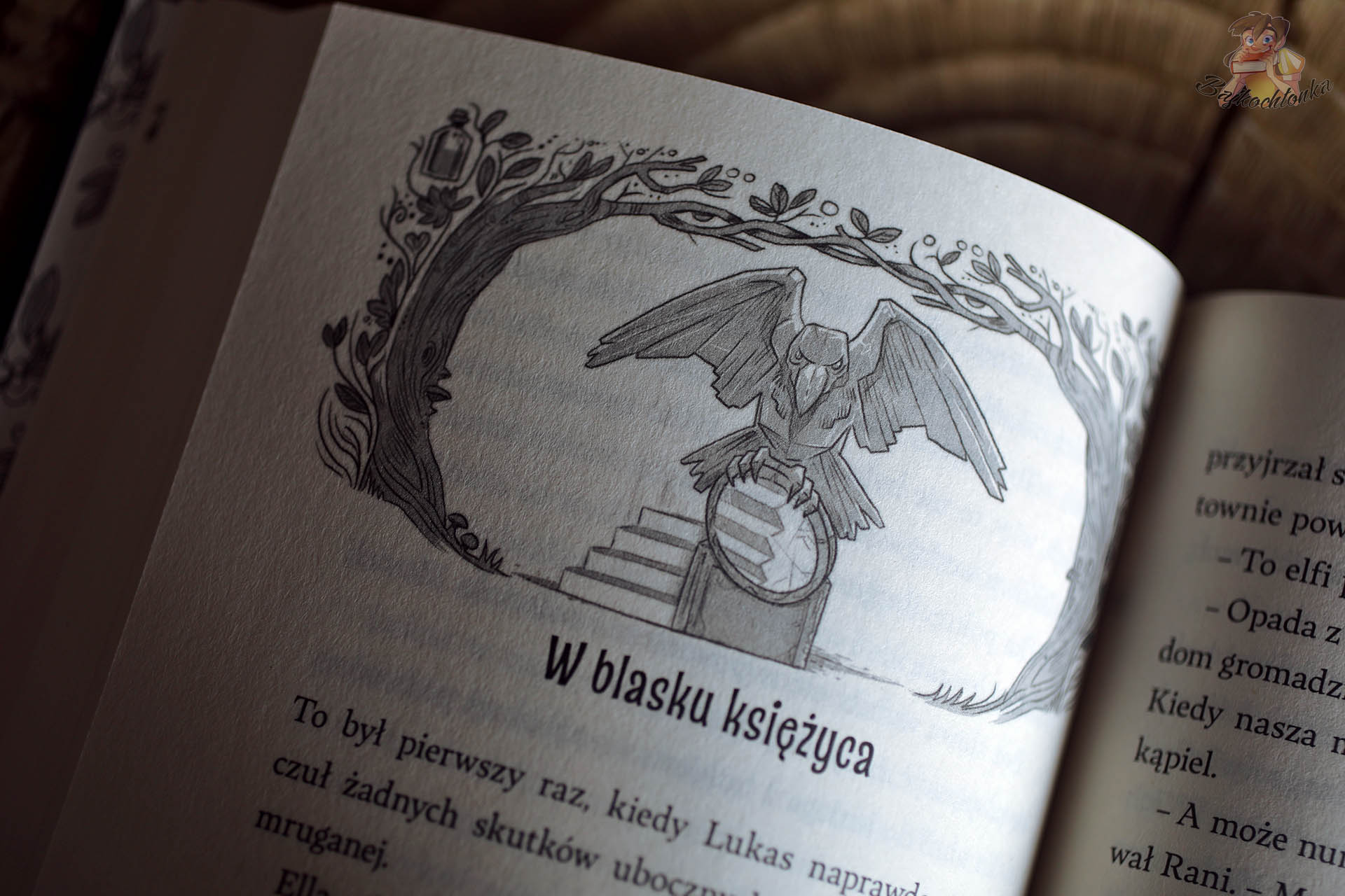 Czarno-biała ilustracja rozkładówkowa z rozdziału „W blasku księżyca” w książce Zaginiony profesor. Las Szeptów. Tom 2 Andreasa Suchanka – sowa na zegarze w dekoracyjnej ramie z gałęziCzarno-biała ilustracja rozkładówkowa z rozdziału „W blasku księżyca” w książce Zaginiony profesor. Las Szeptów. Tom 2 Andreasa Suchanka – sowa na zegarze w dekoracyjnej ramie z gałęzi