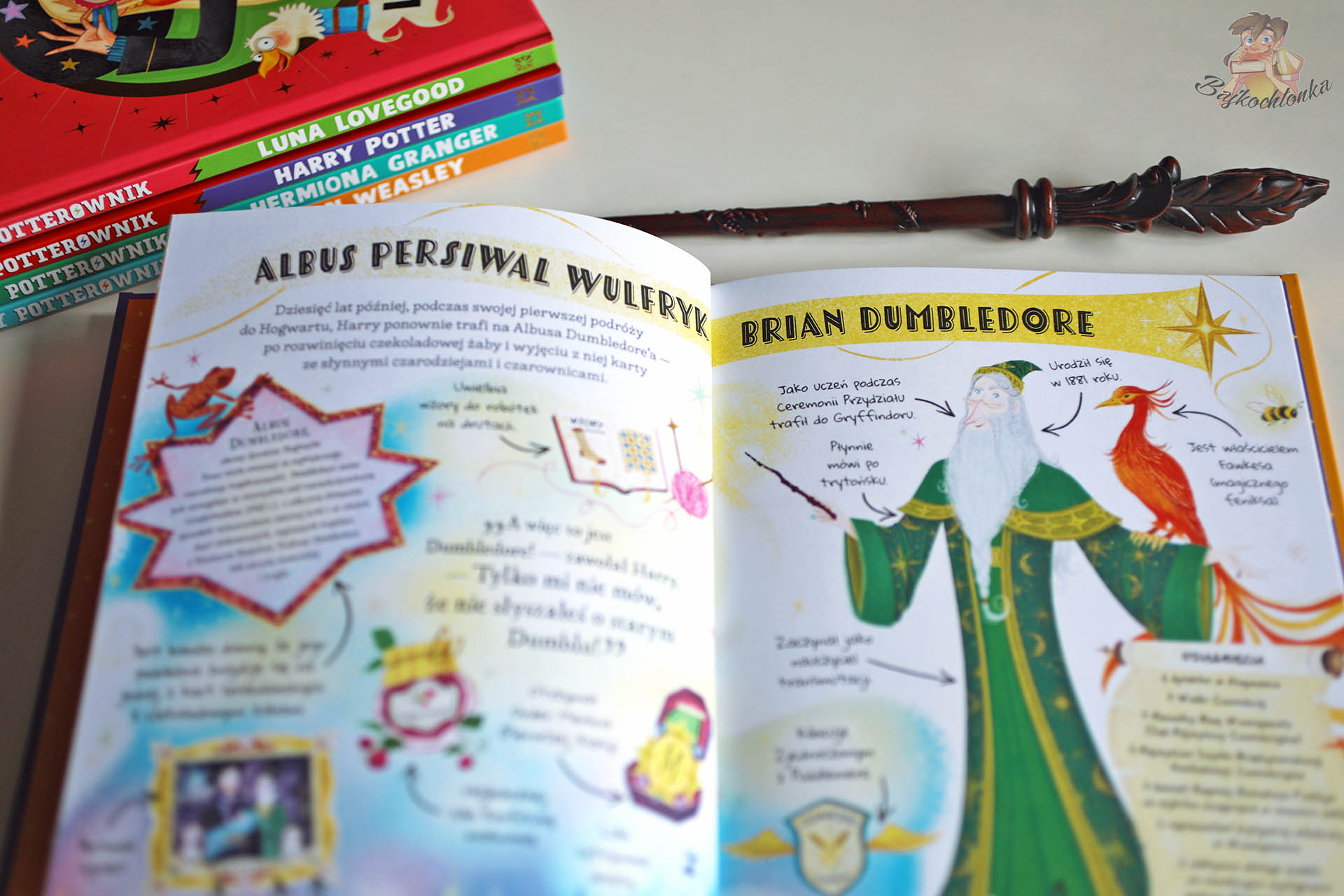 Ilustrowana rozkładówka z książki Mały Potterownik. Profesor Dumbledore przedstawiająca jego pełne imię i najważniejsze informacje