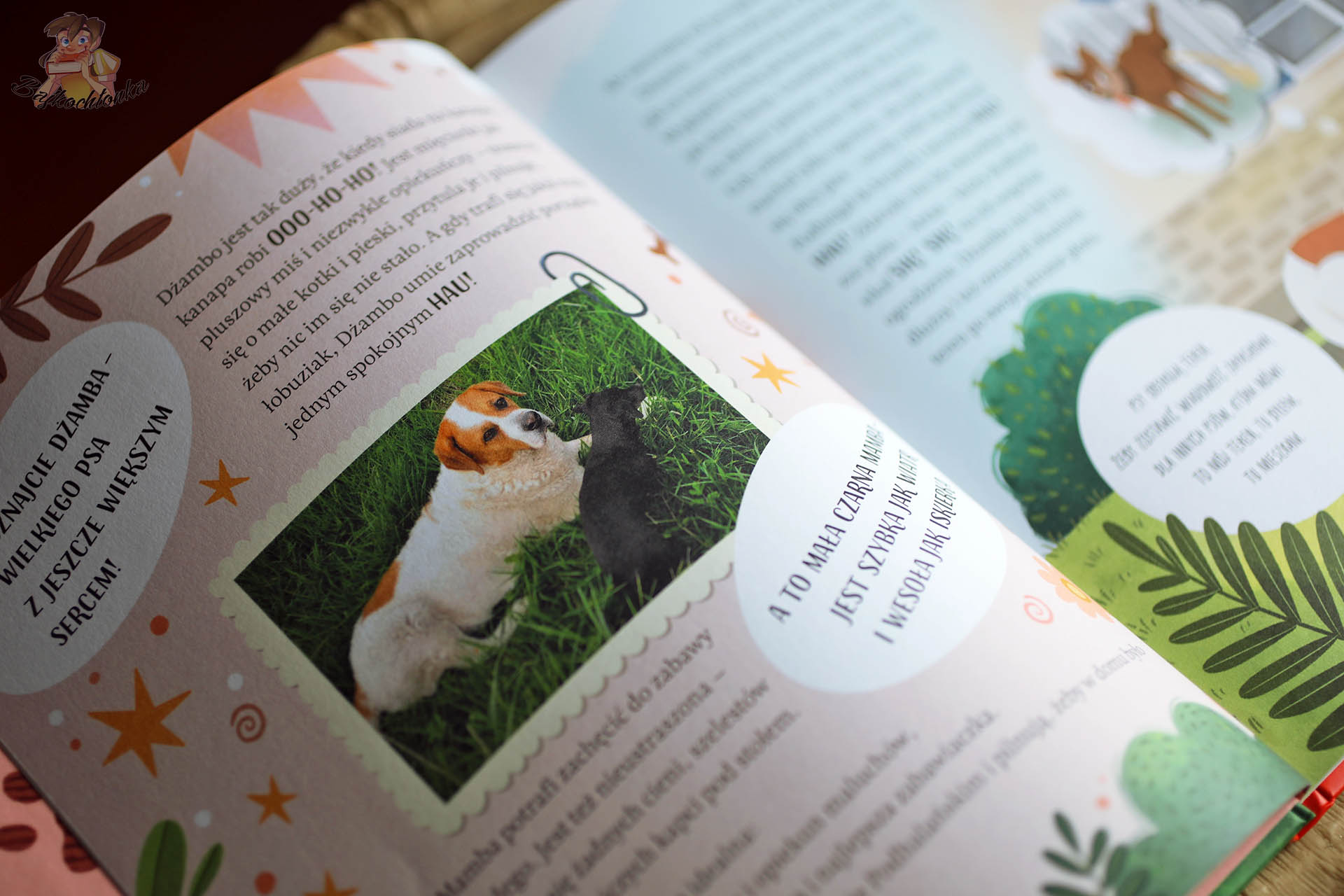 Strona z książki „Psia Chatka. Szczeniaki w potrzebie” z fotografią psów i ciekawostkami o opiece nad czworonogami