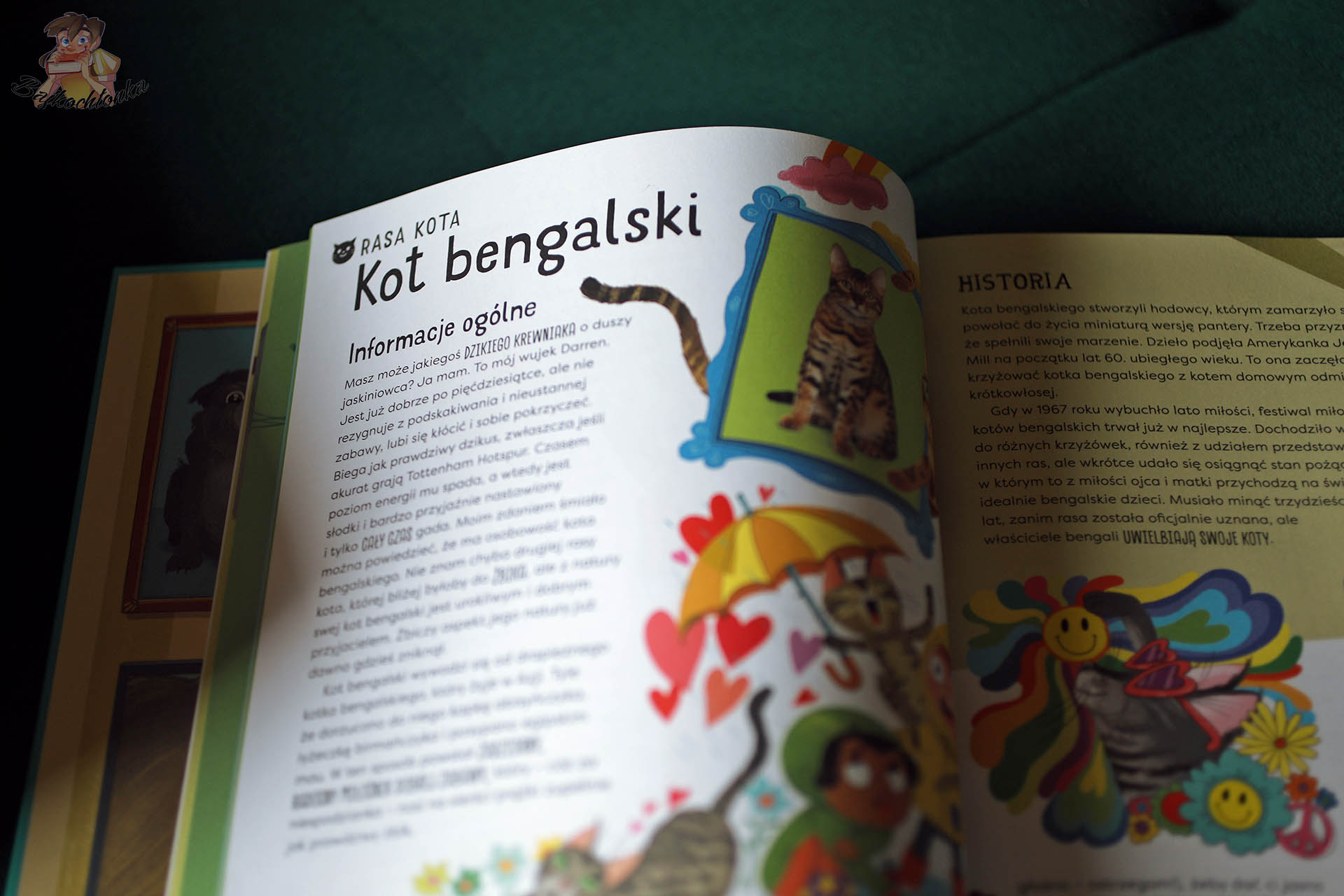 Rozdział o kocie bengalskim w książce Pupil dla mnie - informacje ogólne i historia rasy