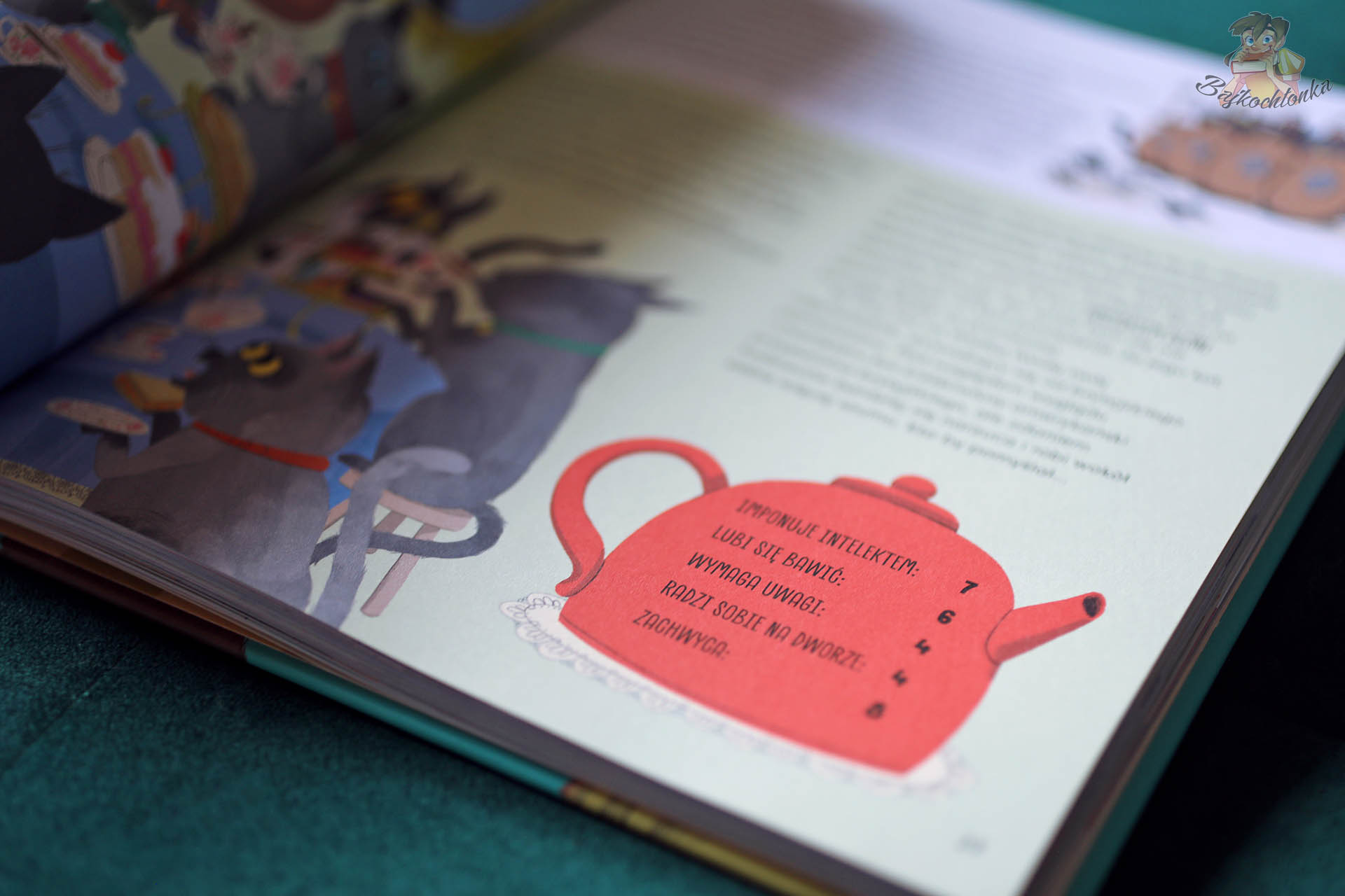 Strona książki Pupil dla mnie z oceną cech zwierzęcia domowego i skalą temperamentu