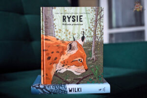 Okładka książki „Rysie. Historie prawdziwe” autorstwa Michała Figury i duetu MizielińskichOkładka książki „Rysie. Historie prawdziwe” autorstwa Michała Figury i duetu Mizielińskich