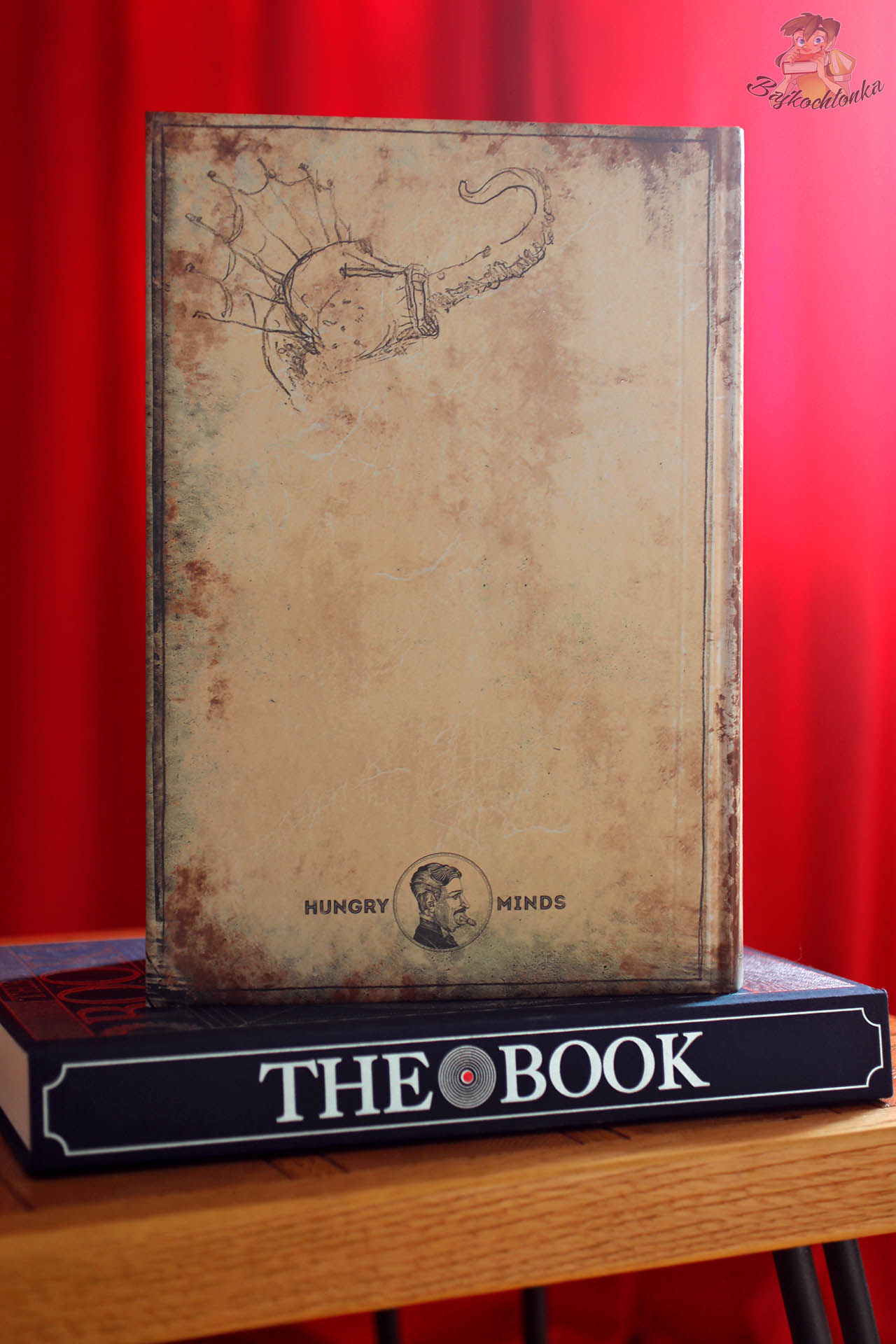 Back cover of The Last Book featuring vintage textured artwork and Hungry Minds publisher mark