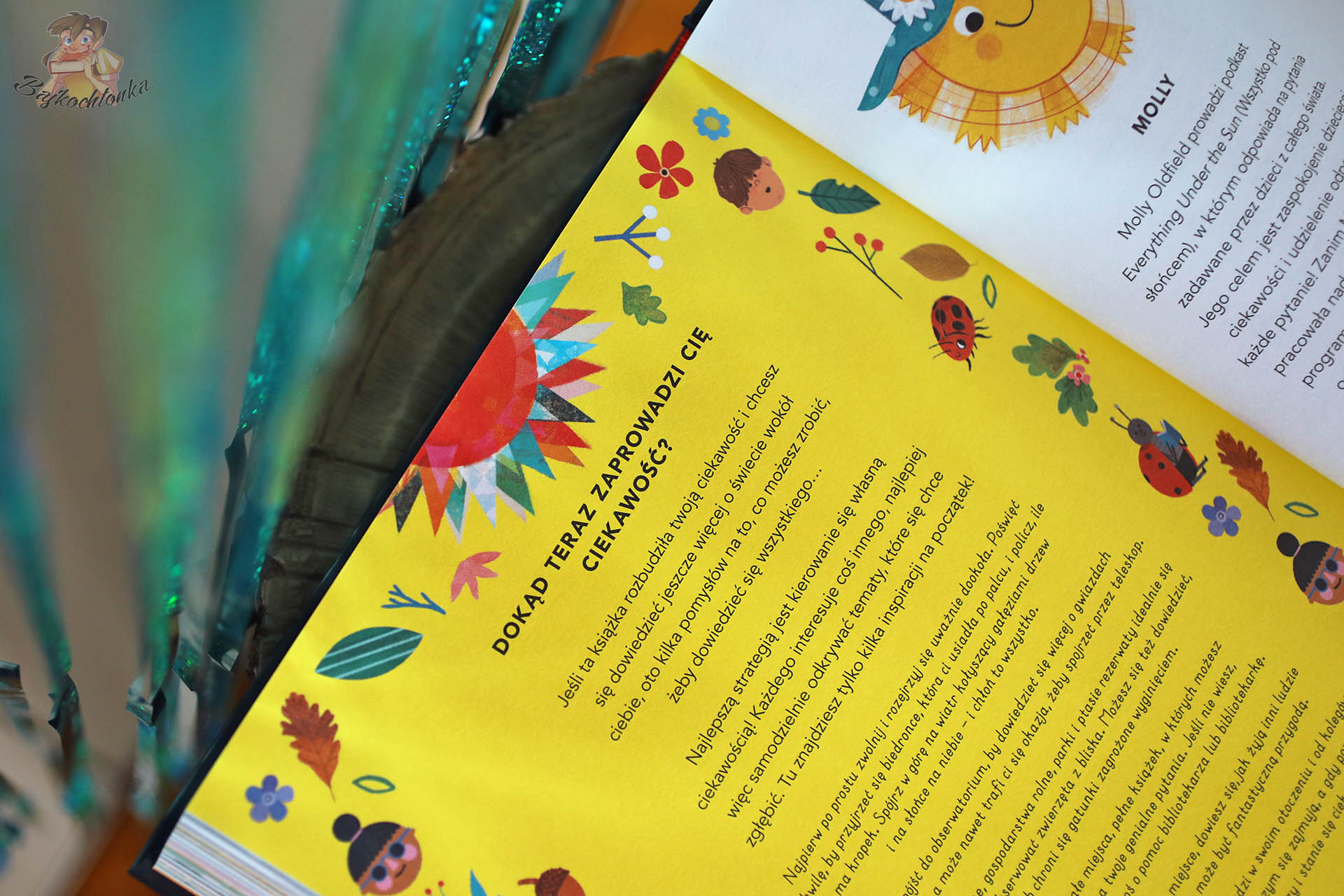 Edukacyjna książka dla dzieci „Wszystko, co chcesz wiedzieć” autorstwa Molly Oldfield