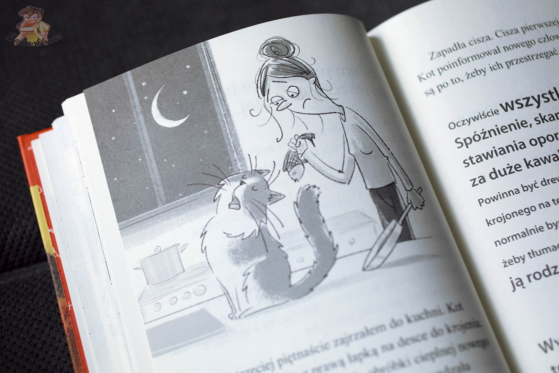 Dziadek naszego kota – ilustracja kota w kuchni nocą z opiekunką