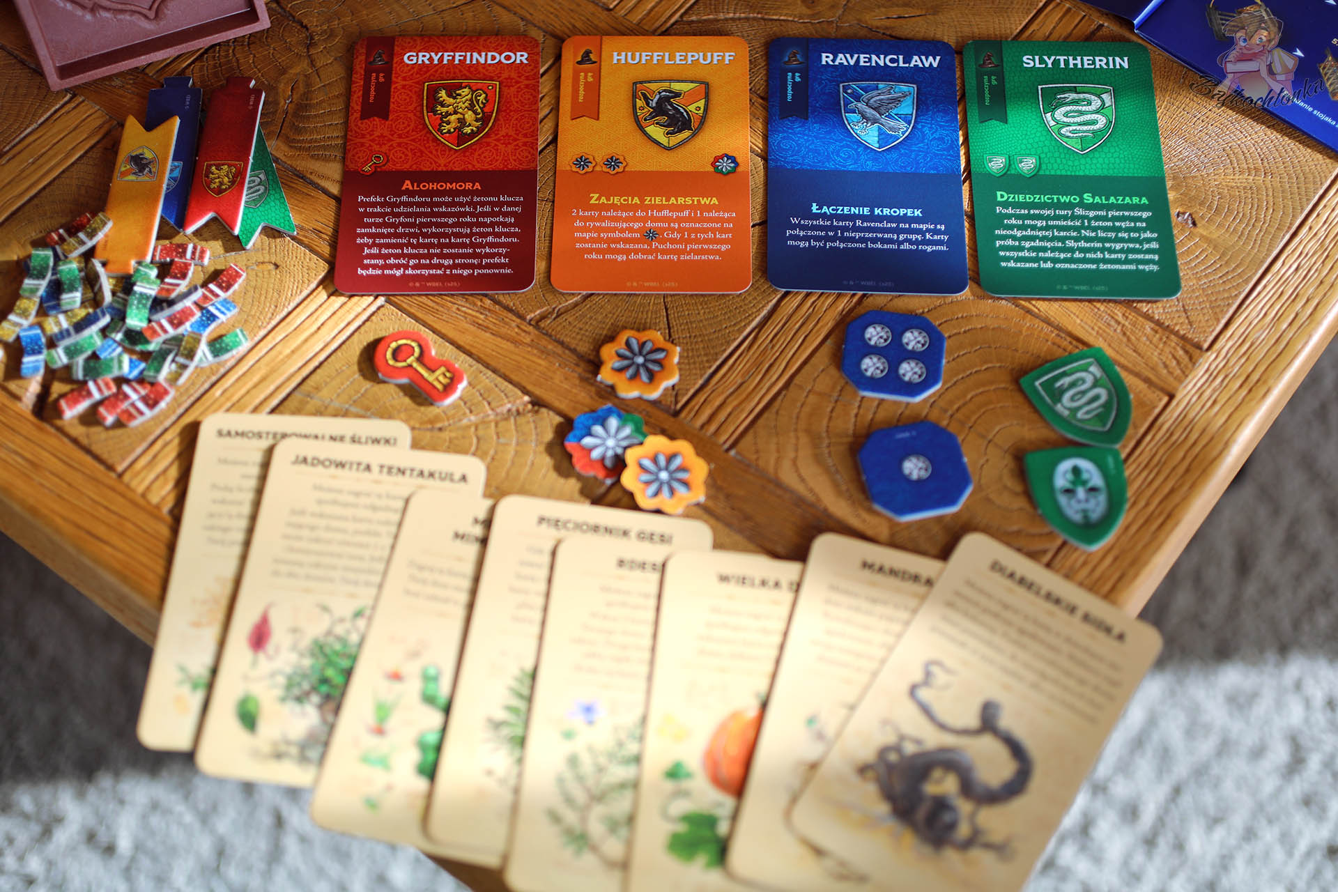 Tajniacy Powrót do Hogwartu – karty specjalnych umiejętności domów Hogwartu