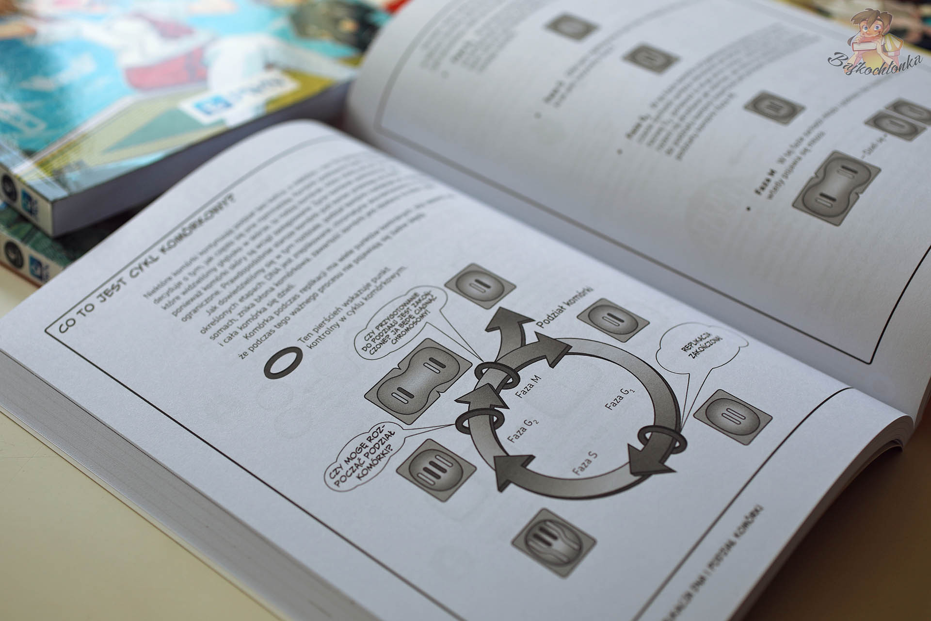 Schemat cyklu komórkowego w książce The Manga Guide. Biologia molekularna – nauka biologii przedstawiona w formie komiksowej