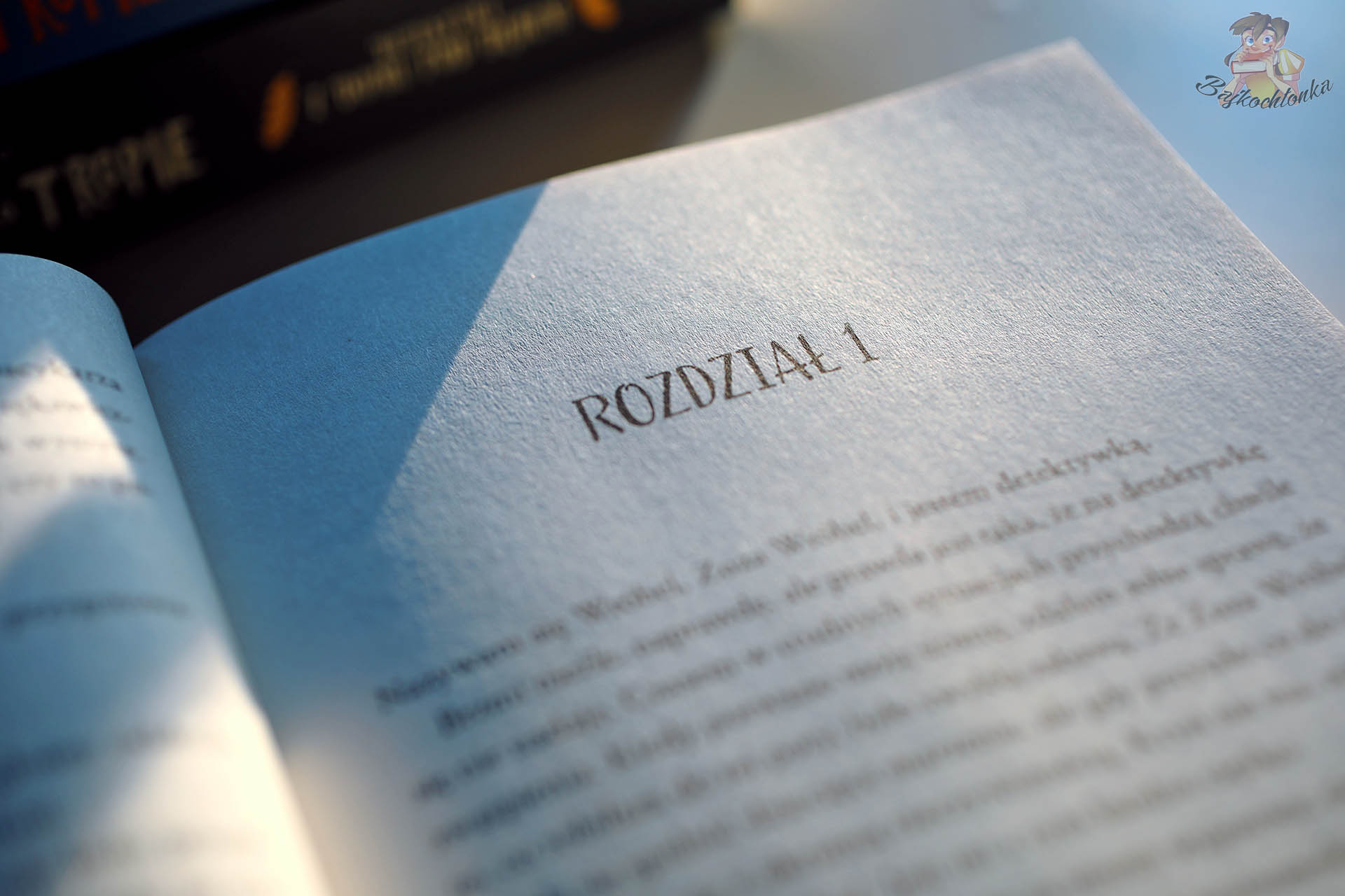 rozdział pierwszy książki Zuza Wróbel na tropie Człowiek zagadka i Liga Złoczyńców