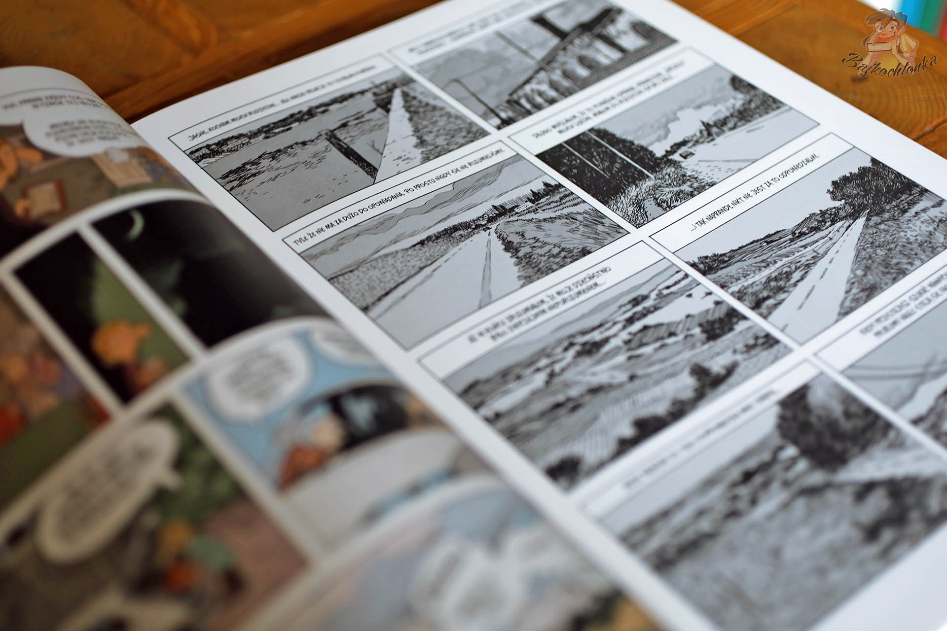 Plansza komiksu Codzienna walka Manu Larceneta z czarno-białymi pejzażami i narracją graficzną