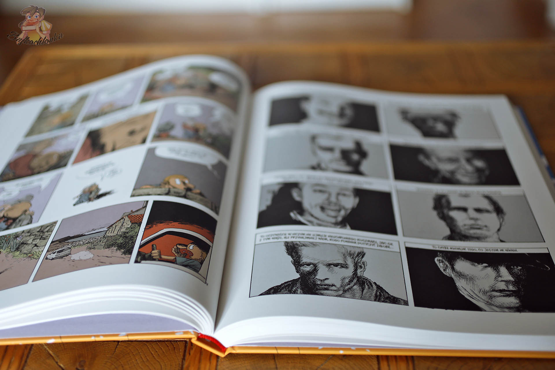 Wnętrze komiksu Codzienna walka Manu Larceneta z kolorowymi planszami i czarno-białymi portretami