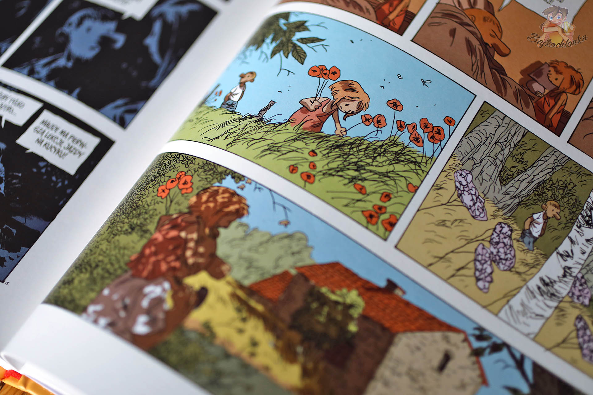 Zbliżenie na planszę komiksu Codzienna walka Manu Larceneta z kolorowymi kadrami i scenami z życia bohaterów