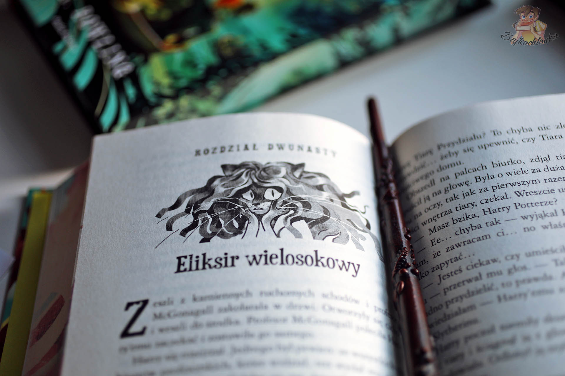 Otwarte wydanie Harry Potter i Komnata Tajemnic z rozdziałem „Eliksir wielosokowy” i ilustracją na początku rozdziału