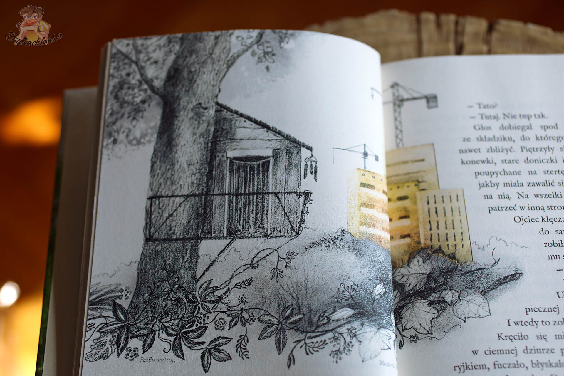 Ilustracja starego domu i drzewa we wnętrzu książki Maja i czas motyli