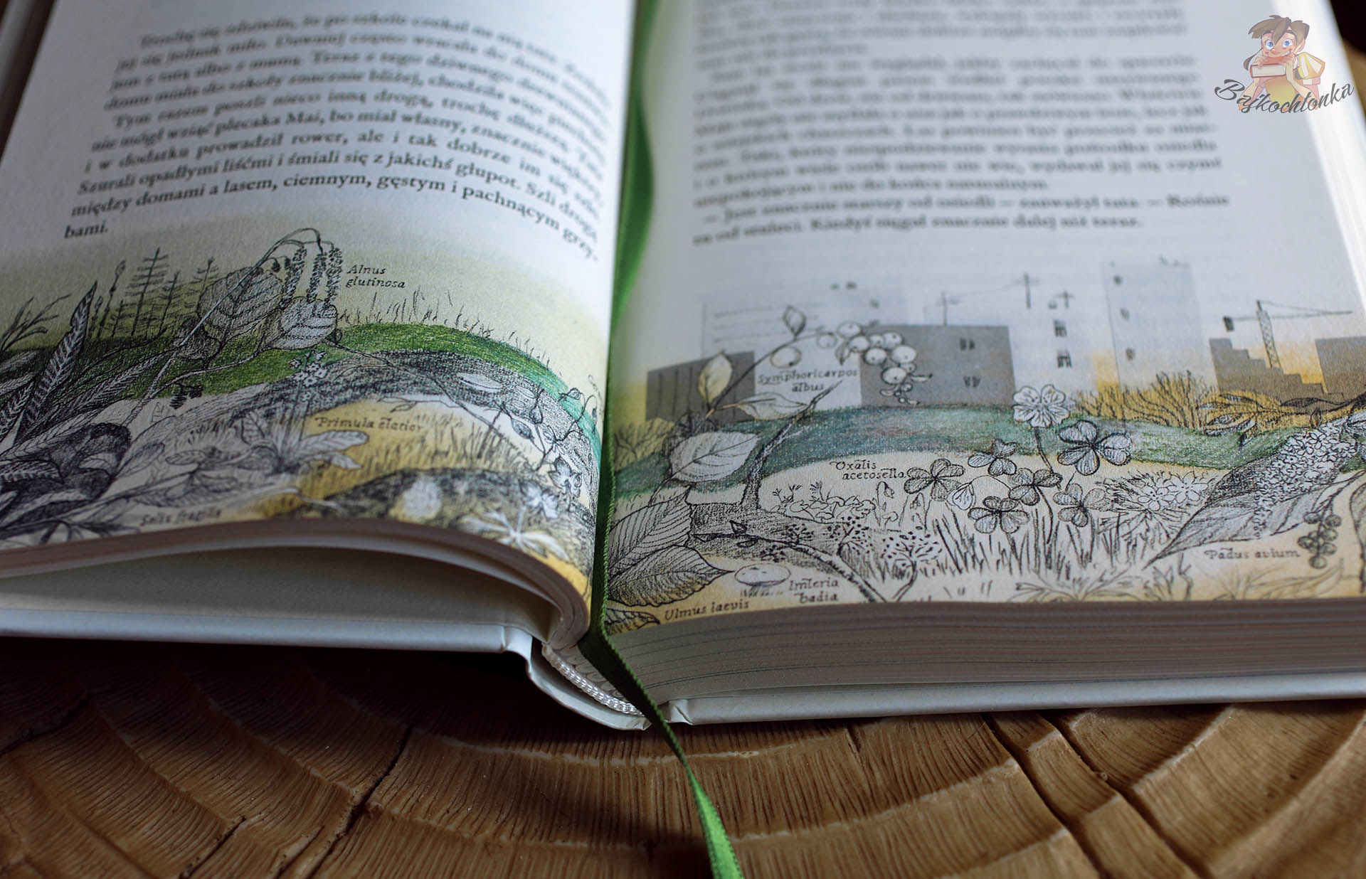 Wnętrze książki Maja i czas motyli z ilustracją roślin, podpisami gatunków i miejskim tłem