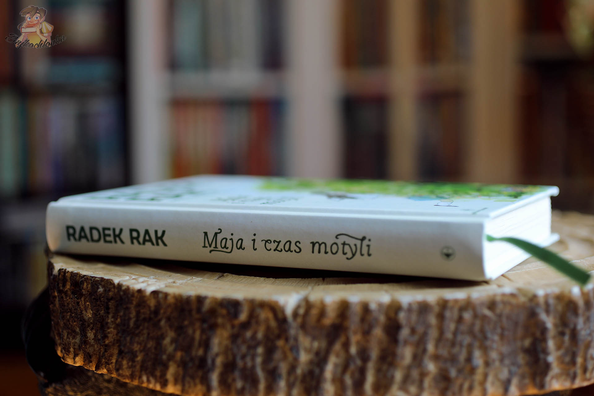 Grzbiet książki Maja i czas motyli Radka Raka ułożonej na drewnianym pieńku