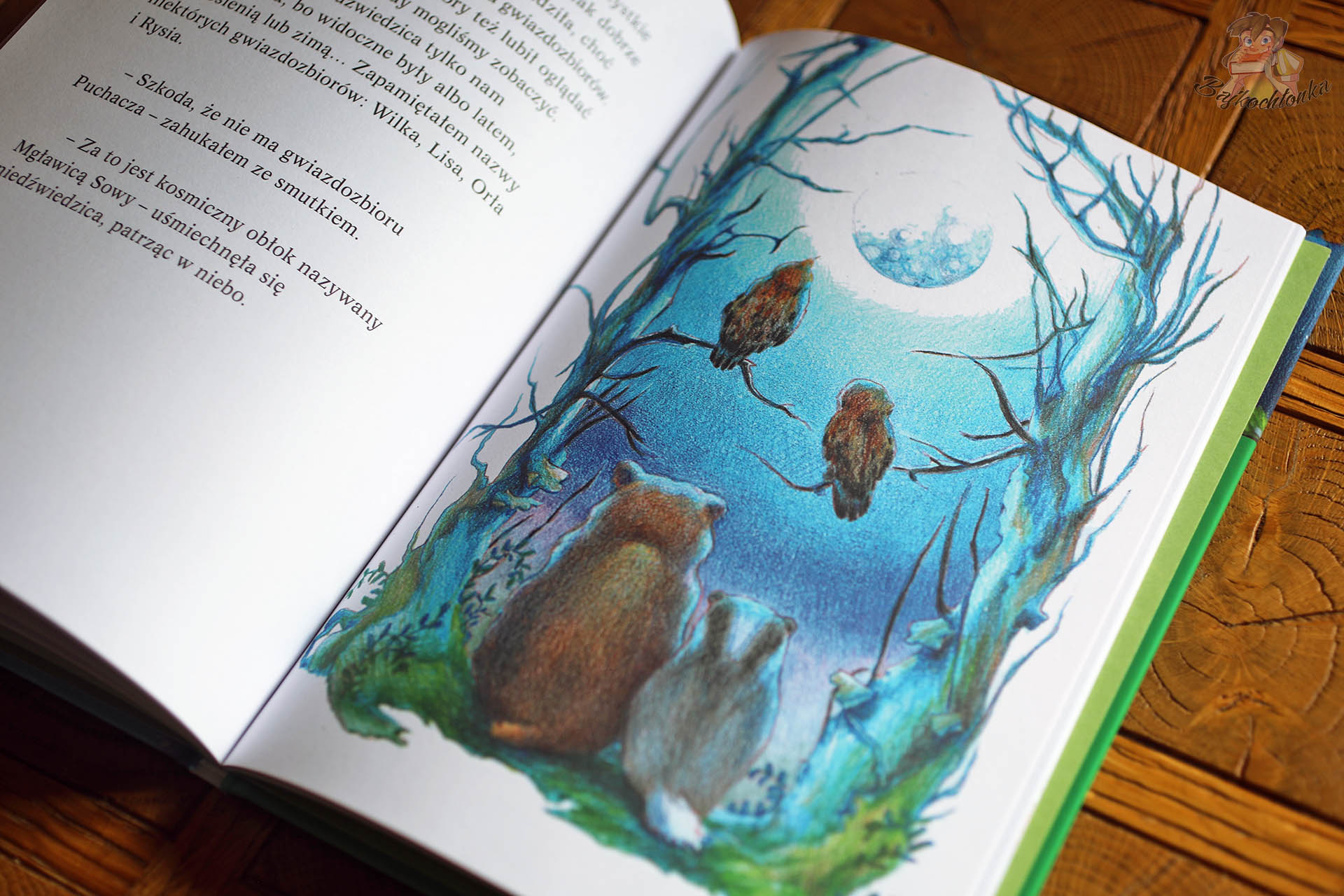 Ilustracja z książki Pogoda dla puchaczy. Wiosna – puchacze i borsuk patrzą w nocne niebo