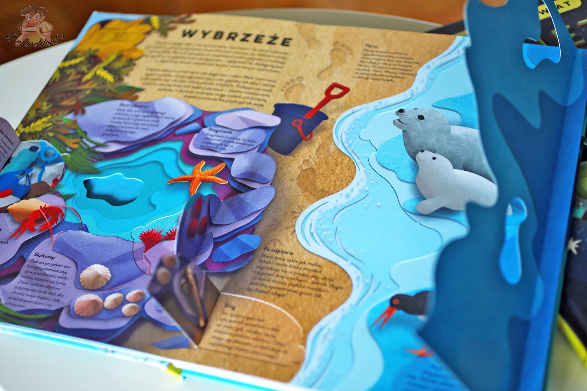 Przestrzenna rozkładówka z książki Ocean. Papierowy Świat pokazująca wybrzeże, foki, ptaki morskie i elementy pop-up.