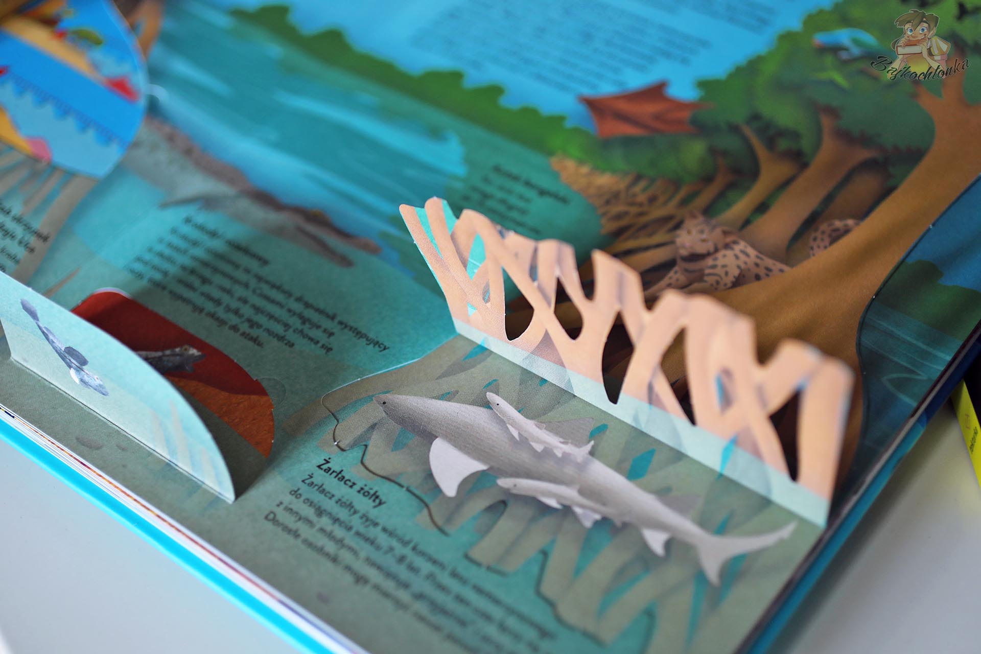 Wnętrze książki Ocean. Papierowy Świat z przestrzenną ilustracją żarłacza rafowego i papierowymi elementami do odkrywania.Wnętrze książki Ocean. Papierowy Świat z przestrzenną ilustracją żarłacza rafowego i papierowymi elementami do odkrywania.