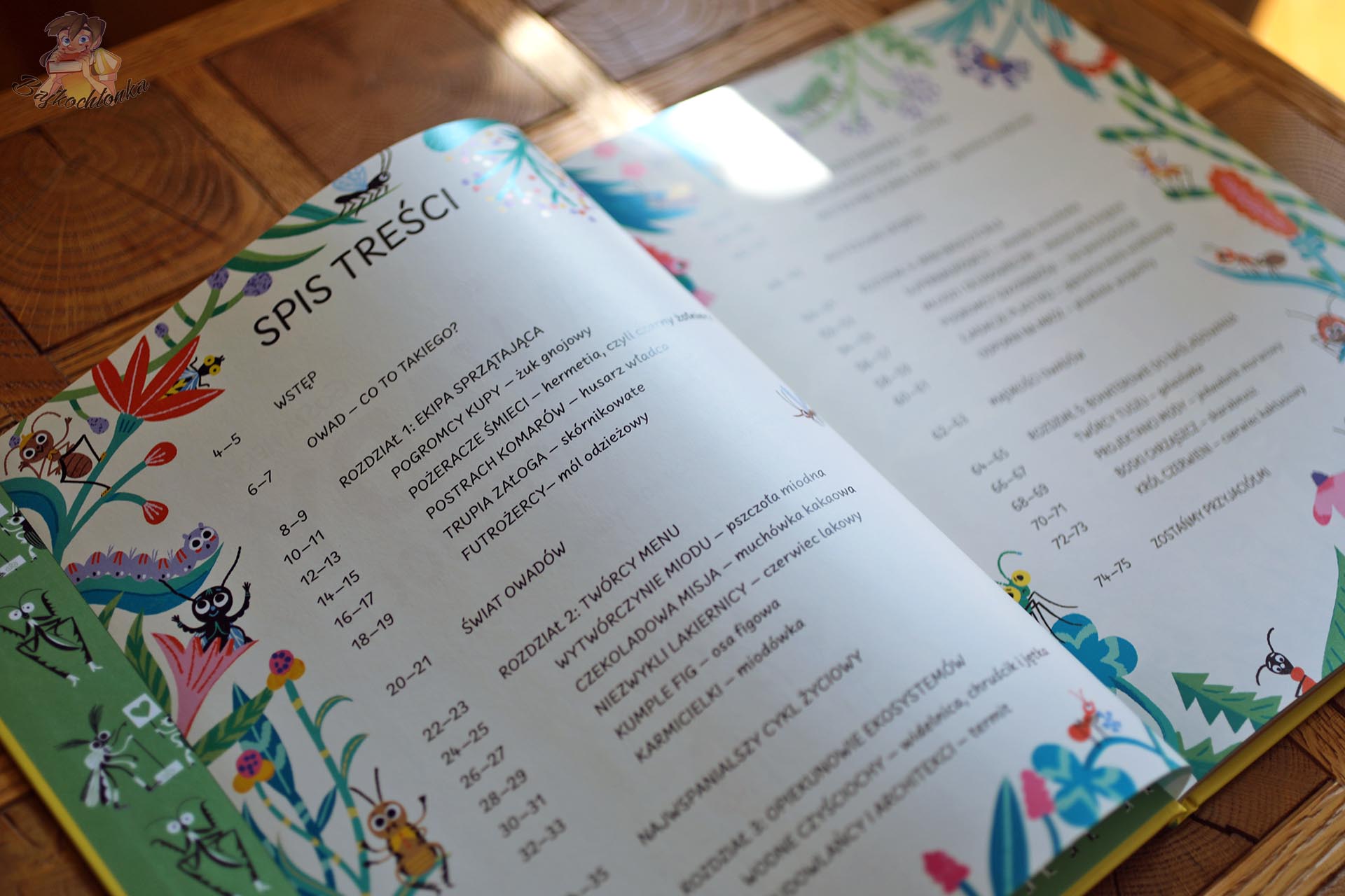 Spis treści książki Owady i ich supermoce Julesa Howarda i Gosi Herby z rozdziałami o owadach, ich zadaniach i supermocach.