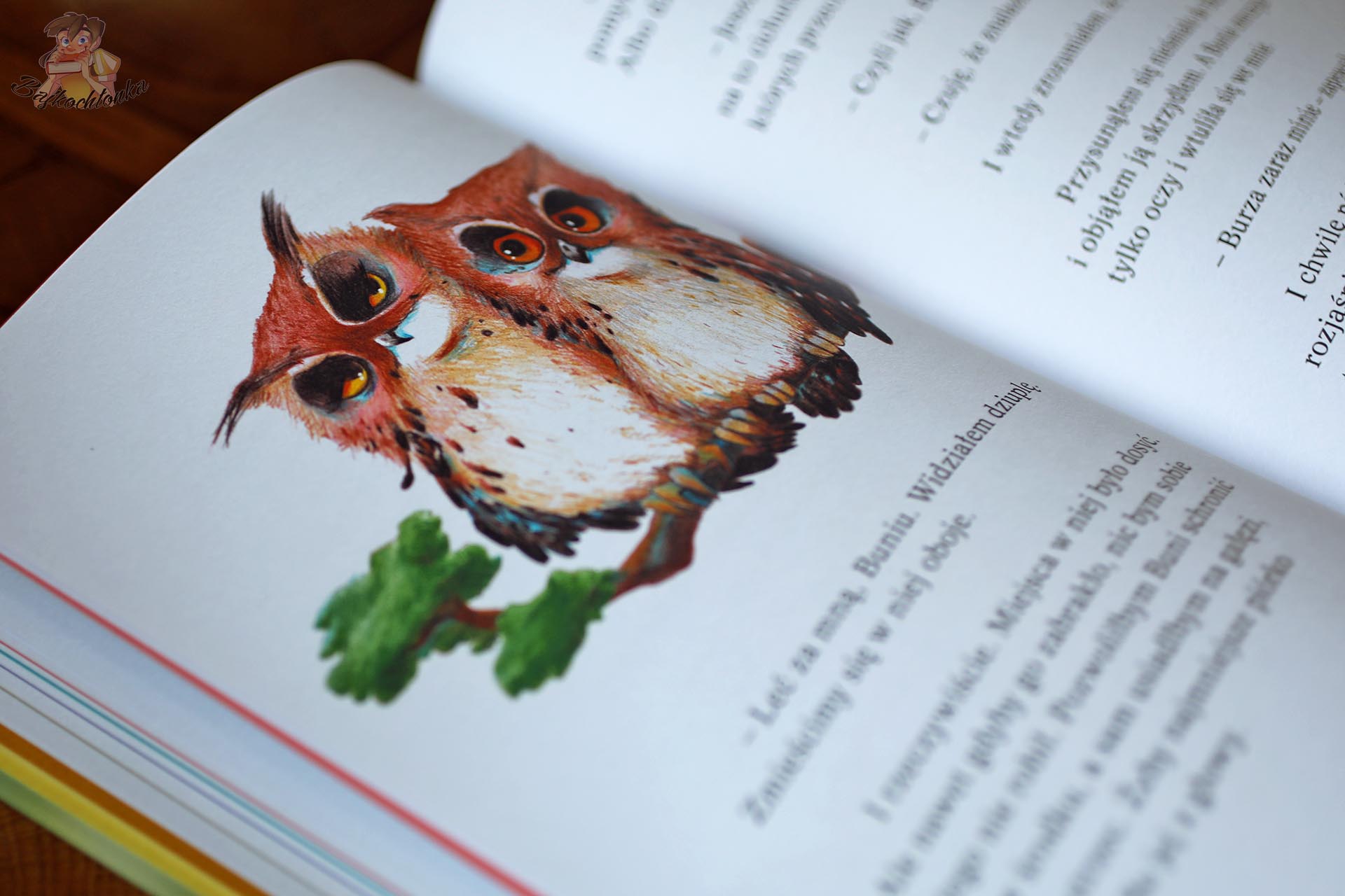 Dwa puchacze na gałęzi w książce Pogoda dla puchaczy. Lato, finałowej części przyrodniczej serii dla dzieci