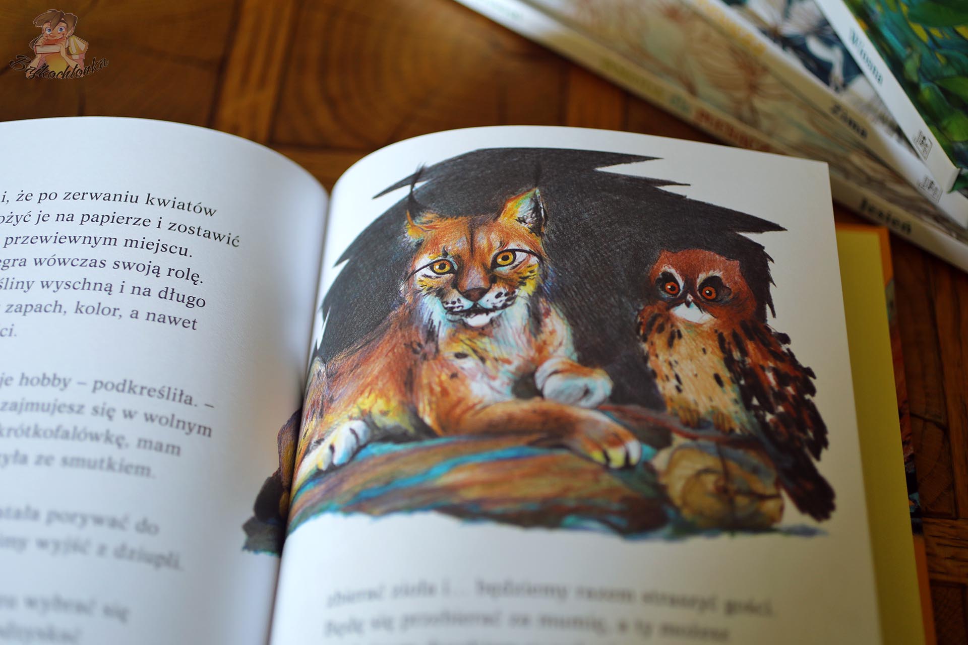 Ryś Marysia i puchacz Bubuś na ilustracji z książki Pogoda dla puchaczy. Lato