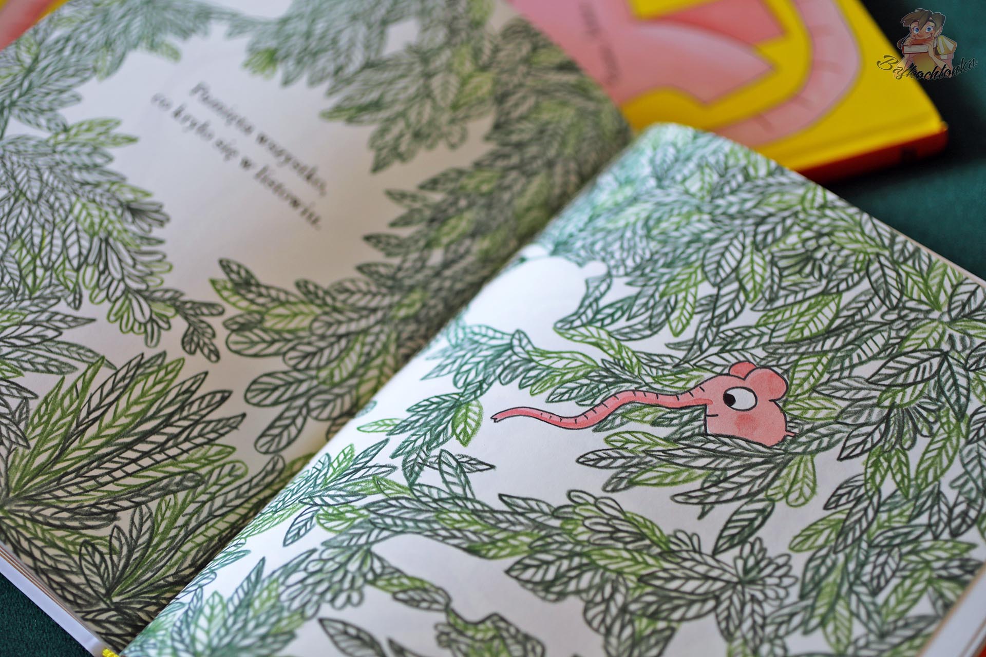 Wnętrze książki Pomelo wspomina Ramony Bădescu i Benjamina Chauda z ilustracją Pomelo ukrytego wśród zielonych liści.