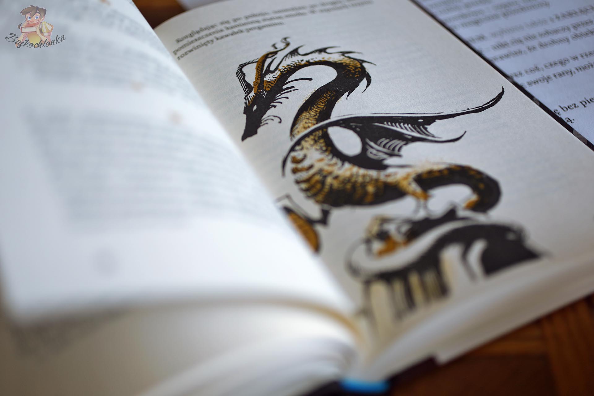 Ilustracja smoka w książce Książka do grania. Wrona Cienia, interaktywnej opowieści fantasy dla dzieci powyżej 9 lat.