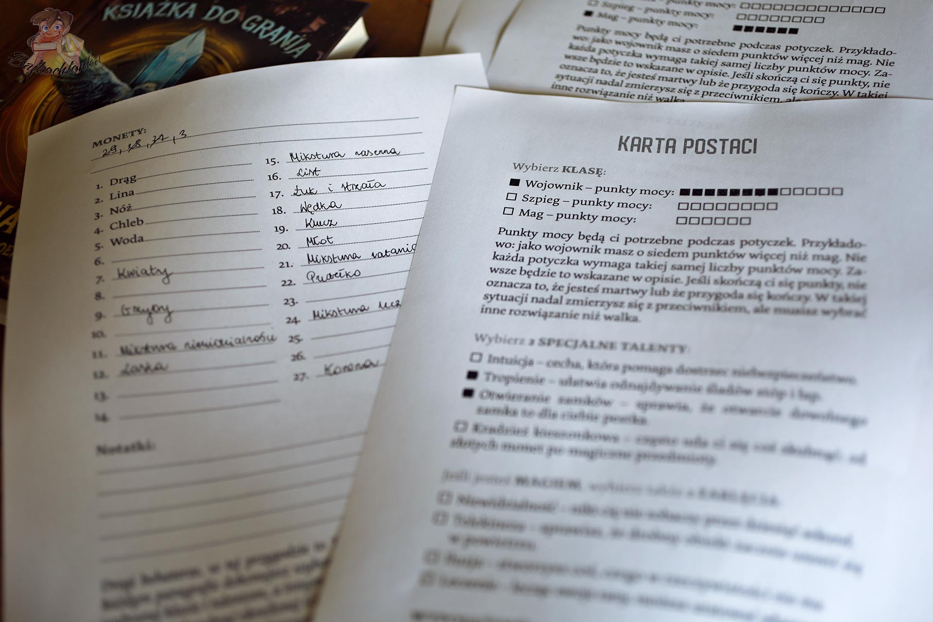 Karta postaci i notatki z przedmiotami do książki Wrona Cienia, pokazujące mechanikę gry, wybór klasy bohatera, monety i ekwipunek.