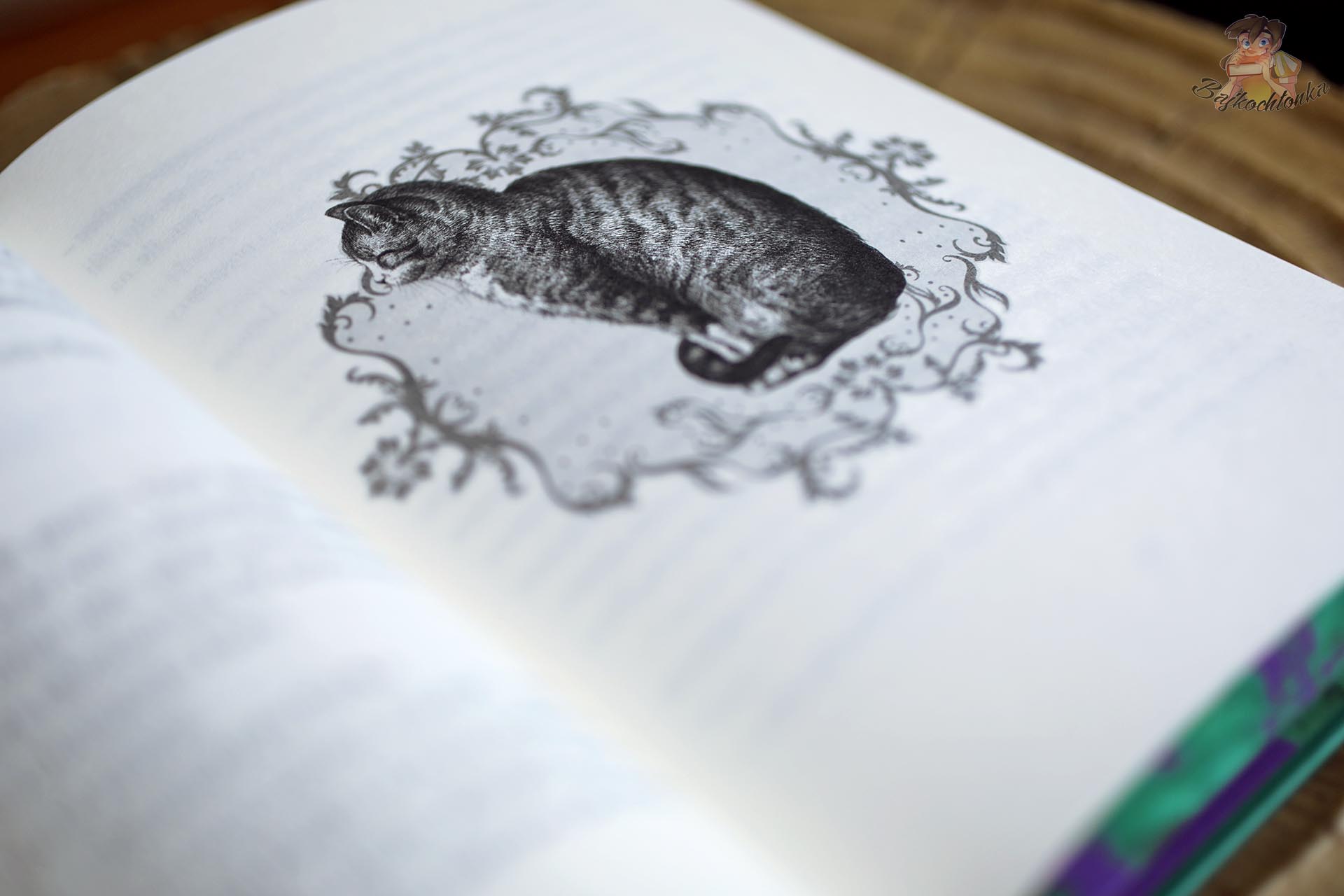 Czarno-biała ilustracja kota w książce Animarium. Wybrańcy ukrytego świata Maliny Prześlugi