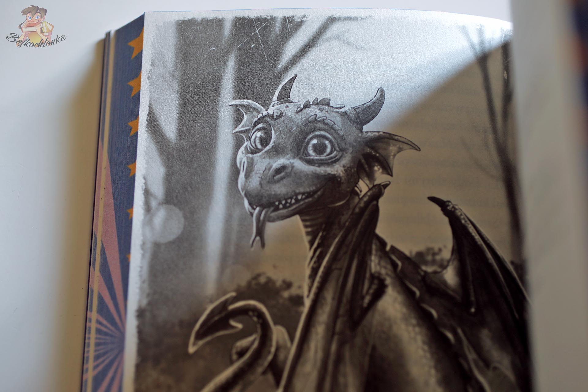 Ilustracja smoka Sznurówki w książce Franek i Finka. Cyrk martwych makabresek Anety Jadowskiej