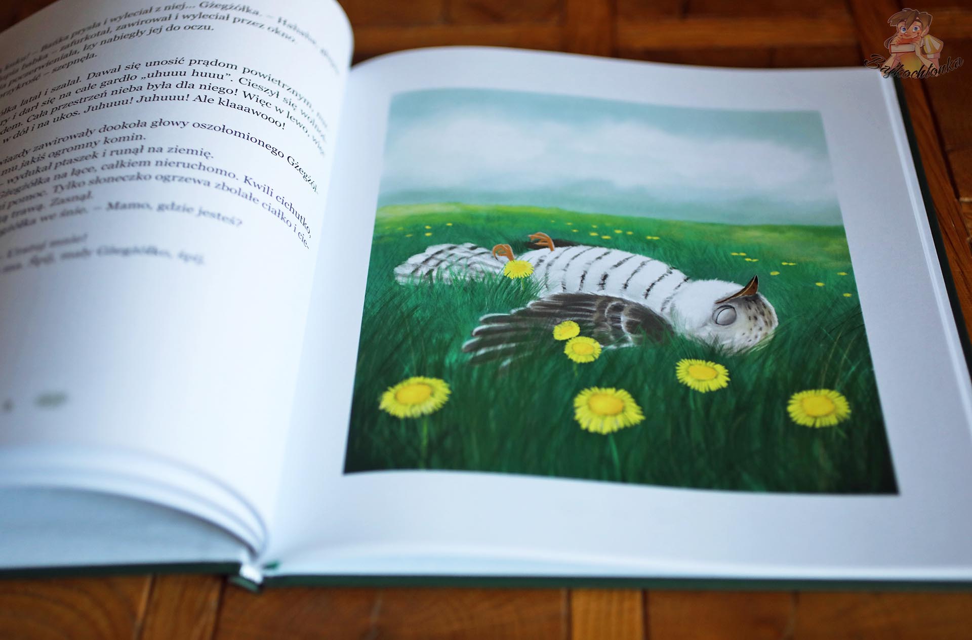 Ilustracja zranionego ptaszka leżącego w trawie w książce Mały Gżegżółka