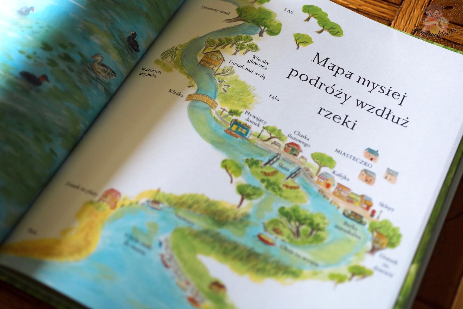 Mapa mysiej podróży wzdłuż rzeki w książce Myszka nad rzeką Alice Melvin