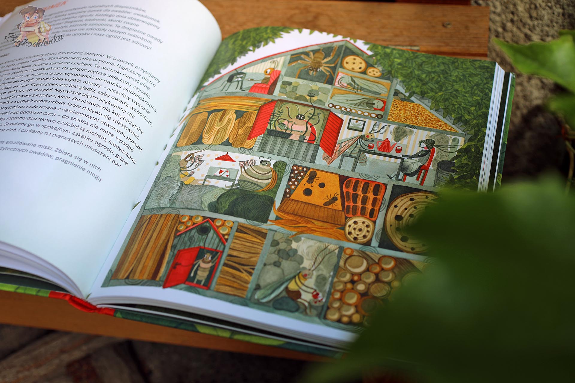 Ilustracja owadomku, czyli domku dla owadów, w książce przyrodniczej Zielniczek