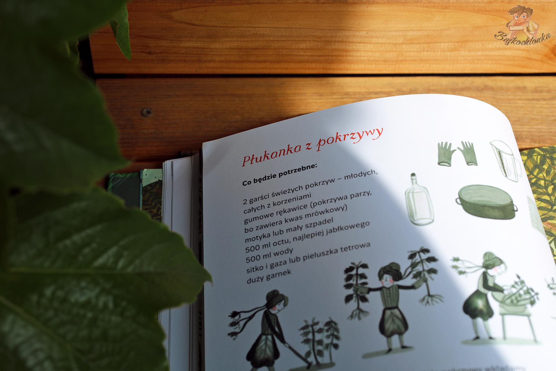 Przepis na płukankę z pokrzywy w książce Zielniczek pokazany na otwartej rozkładówce