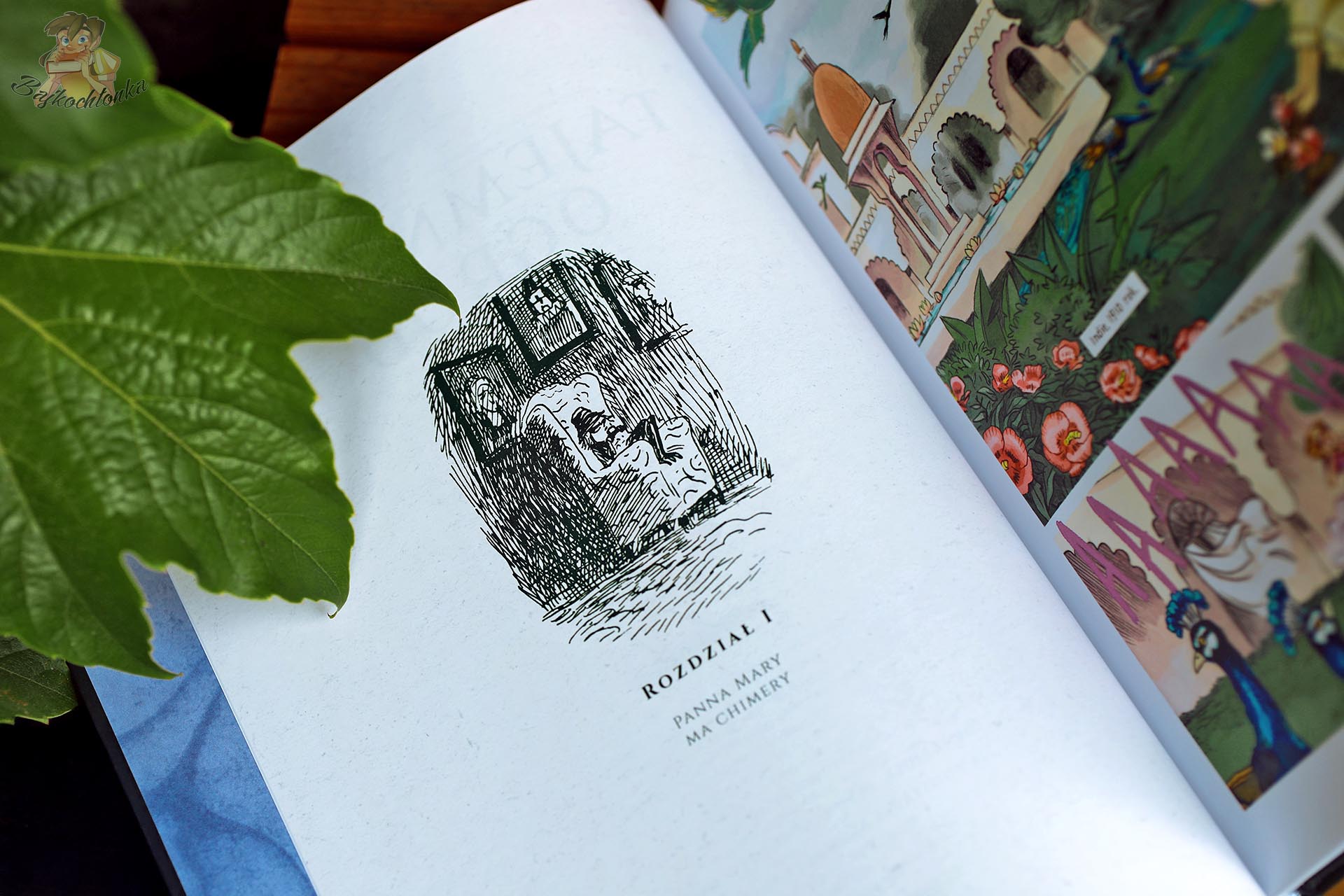 Strona otwierająca pierwszy rozdział komiksu „Tajemniczy ogród” z ilustracją inspirowaną oryginalną powieścią