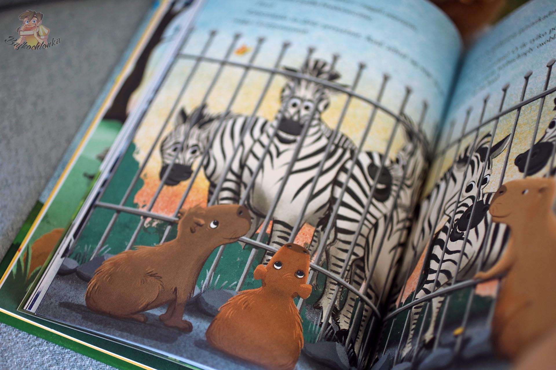 Emmy, Raul i Tristan przy wybiegu z zebrami – ilustracja Aniki Voigt z książki „Kapibary. Operacja Flaming”