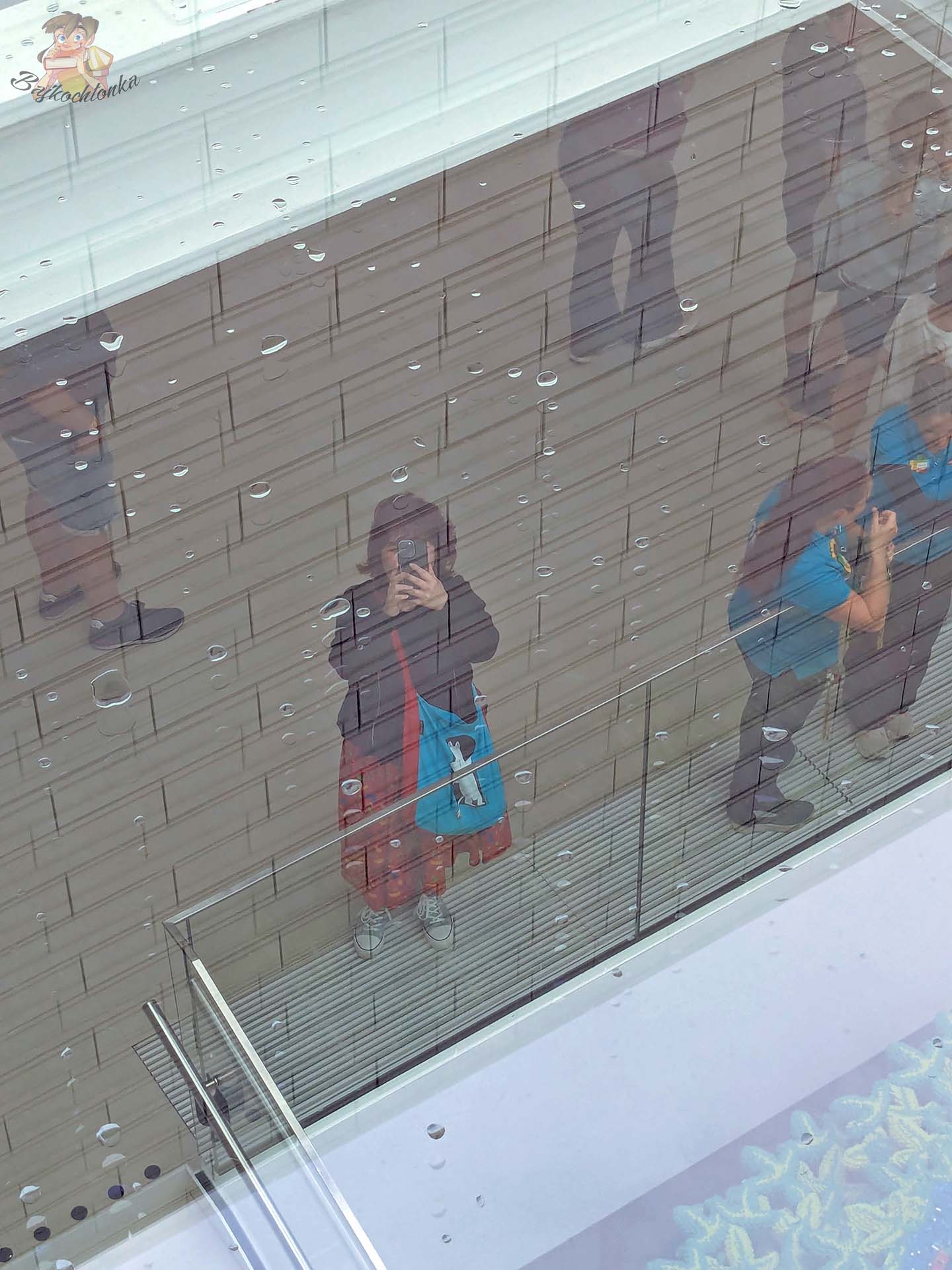 Widok przez szklany element dachu LEGO House w Billund