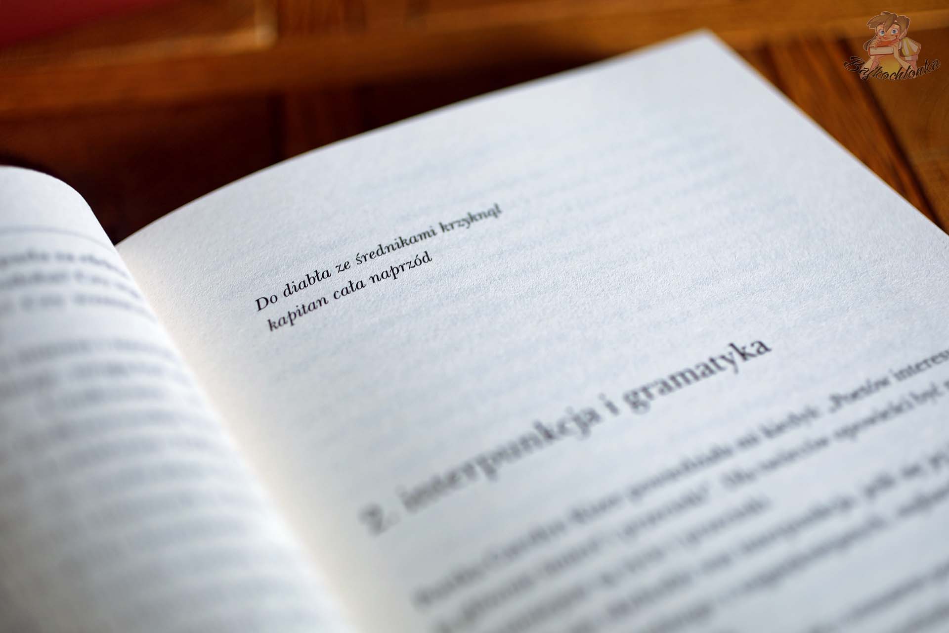 Rozdział Interpunkcja i gramatyka w poradniku pisarskim U steru opowieści Ursuli K. Le Guin