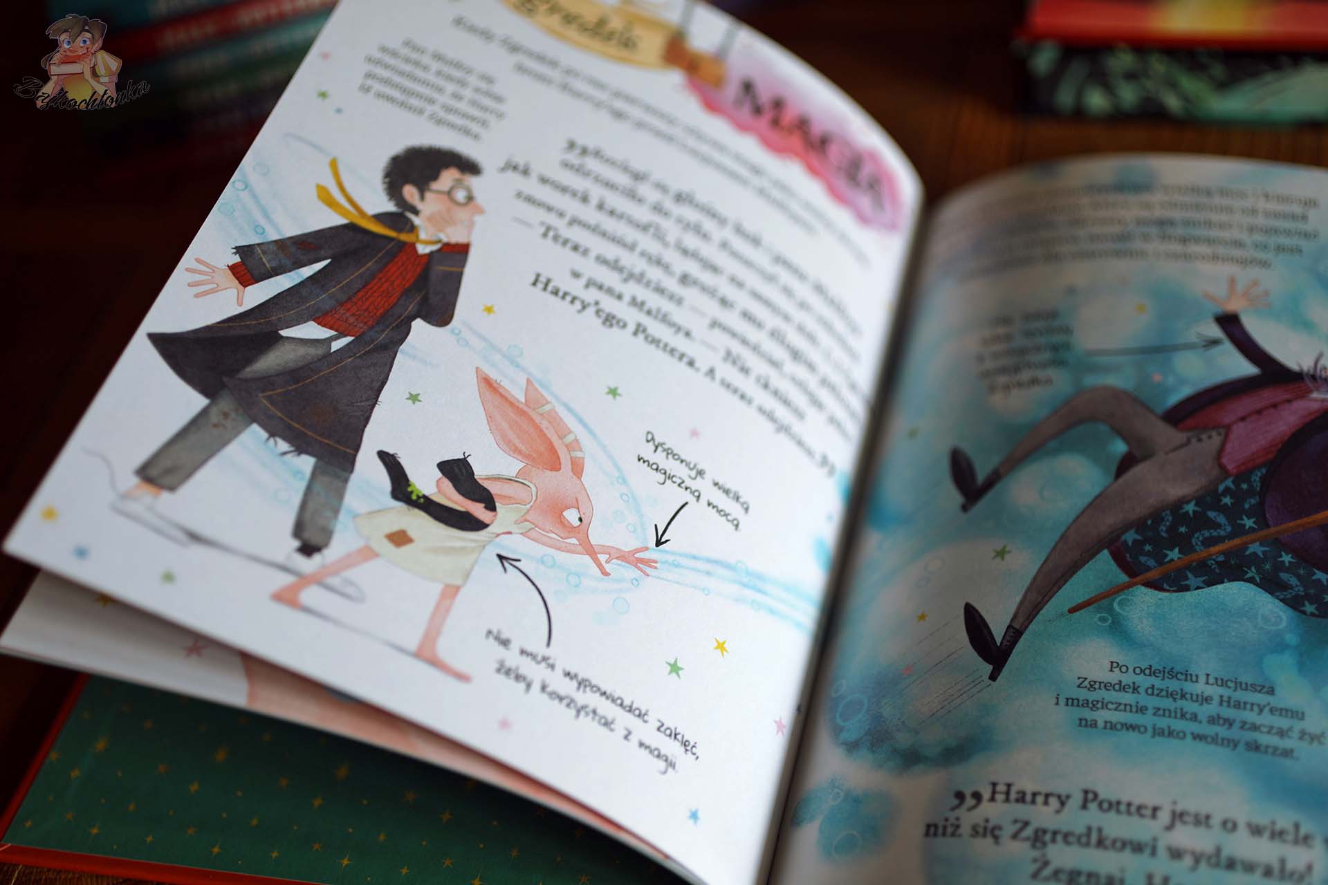 Zgredek i Harry Potter na ilustrowanej rozkładówce książki Mały Potterownik. Zgredek