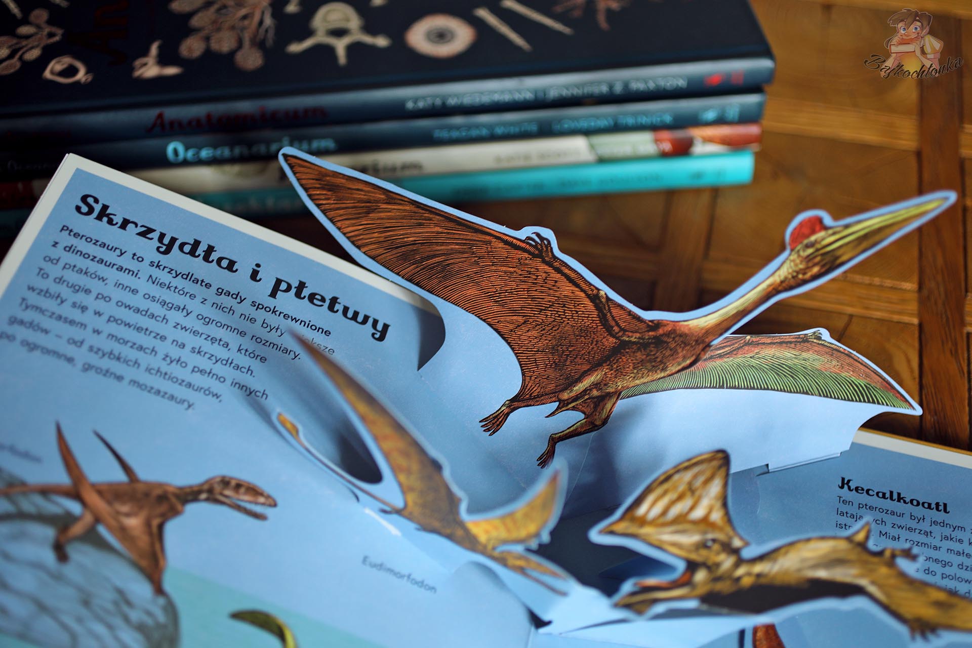 Pterozaury na przestrzennej rozkładówce książki Dinozaurium pop-up dla dzieci