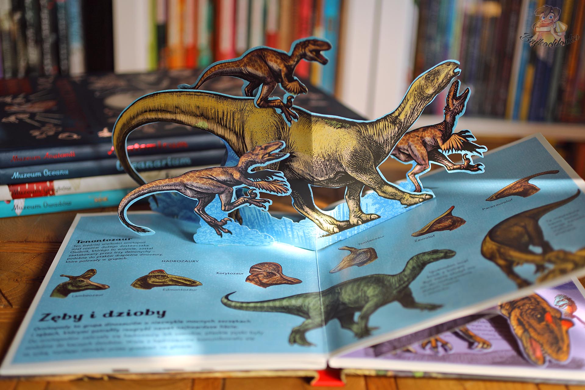 Tenontozaur i polujące dinozaury na przestrzennej rozkładówce Dinozaurium pop-up