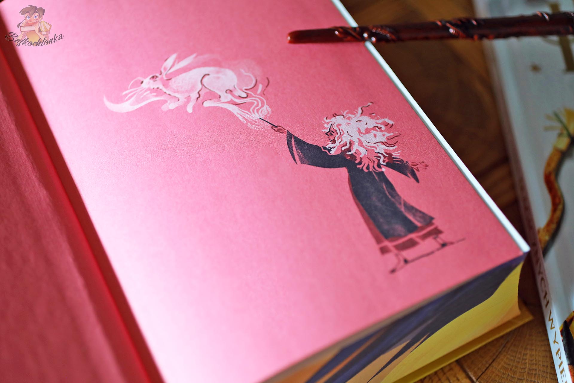 Ilustracja Hermiony w książce Harry Potter i Zakon Feniksa