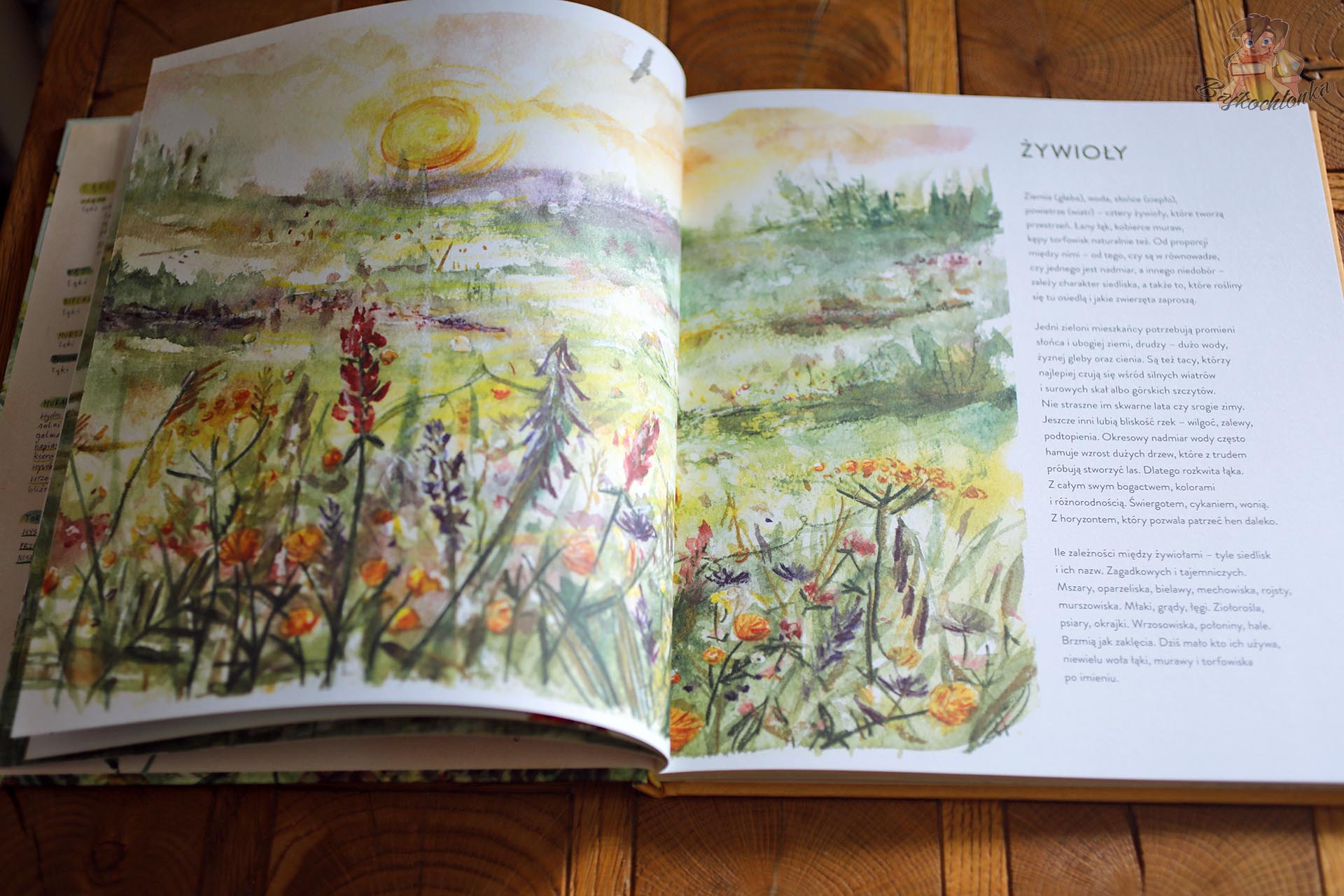Rozdział „Żywioły” i akwarelowe ilustracje łąk w książce Joli Richter-Magnuszewskiej