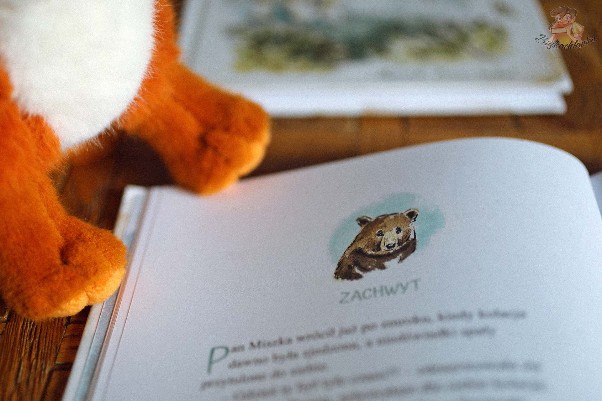 Ilustracja niedźwiedzia Zuzanny Mukoid w książce Lisek, syn Rudego Reginy Golińskiej-Barancewicz
