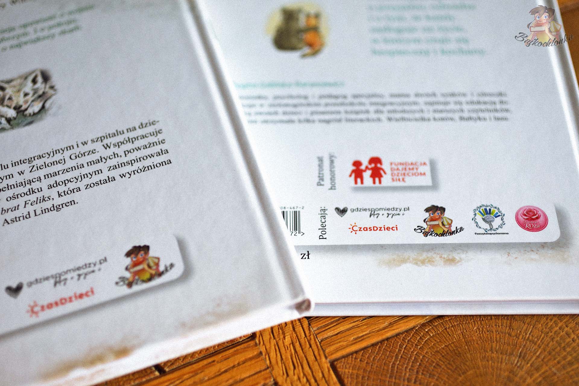 Patronat medialny Bajkochłonki nad książkami Lisek, syn Rudego i Wilczynka – córka Mikity