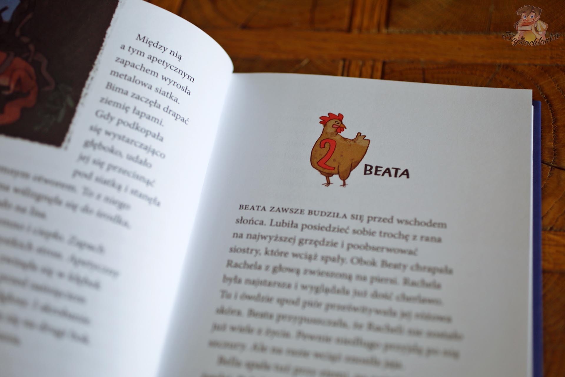 Początek drugiego rozdziału książki Kto zabił naszego koguta? z ilustracją kury Beaty, która pomaga małej lisicy Bimie.