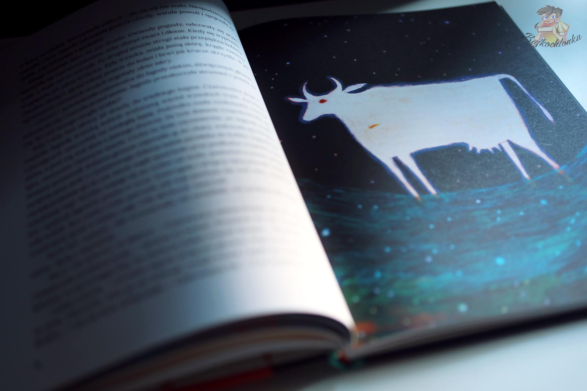 Ilustracje w książce Między sytością a wiecznością