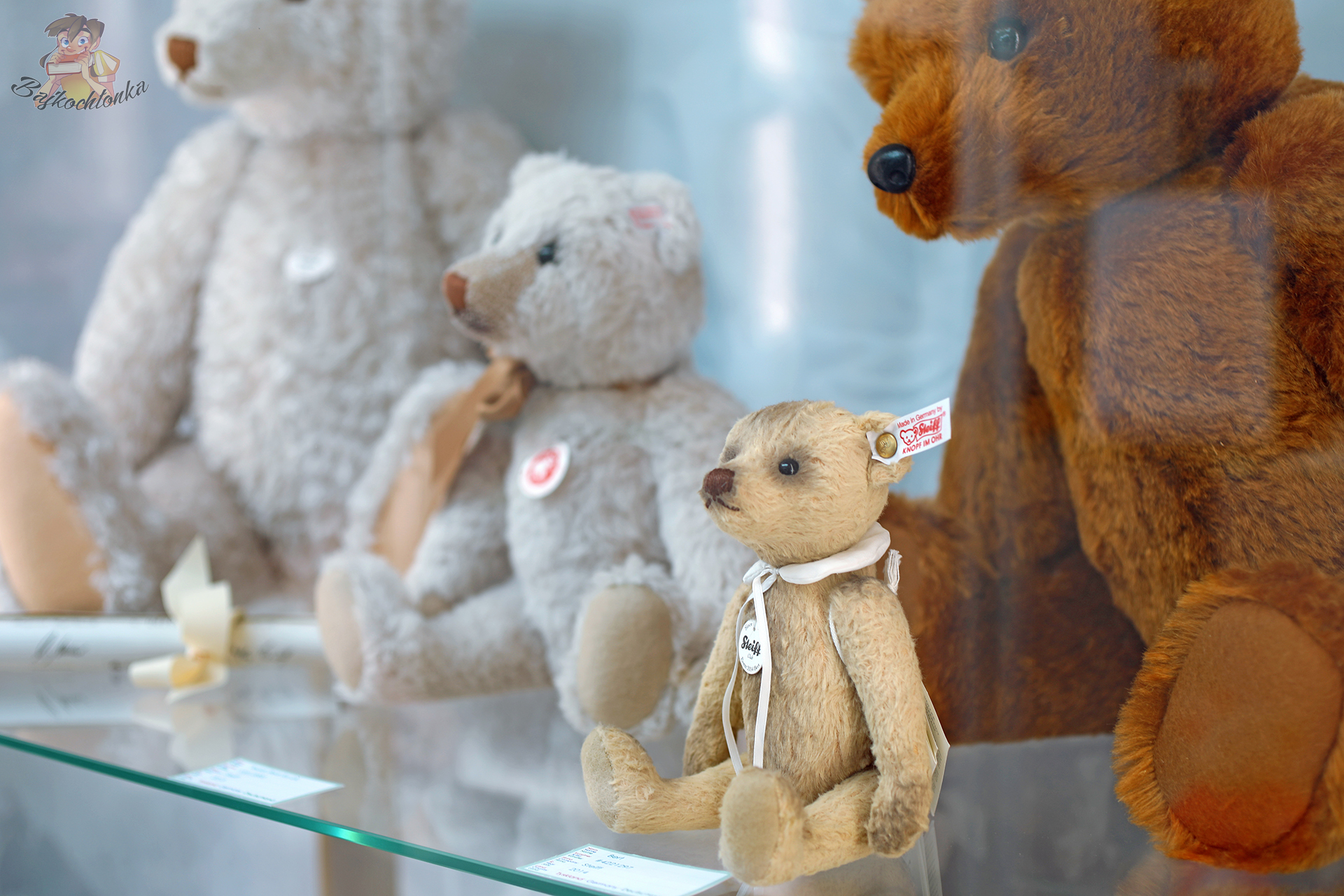 Kolekcjonerskie misie Steiff w gablocie Teddy Bear Art Museum w Billund w Danii.